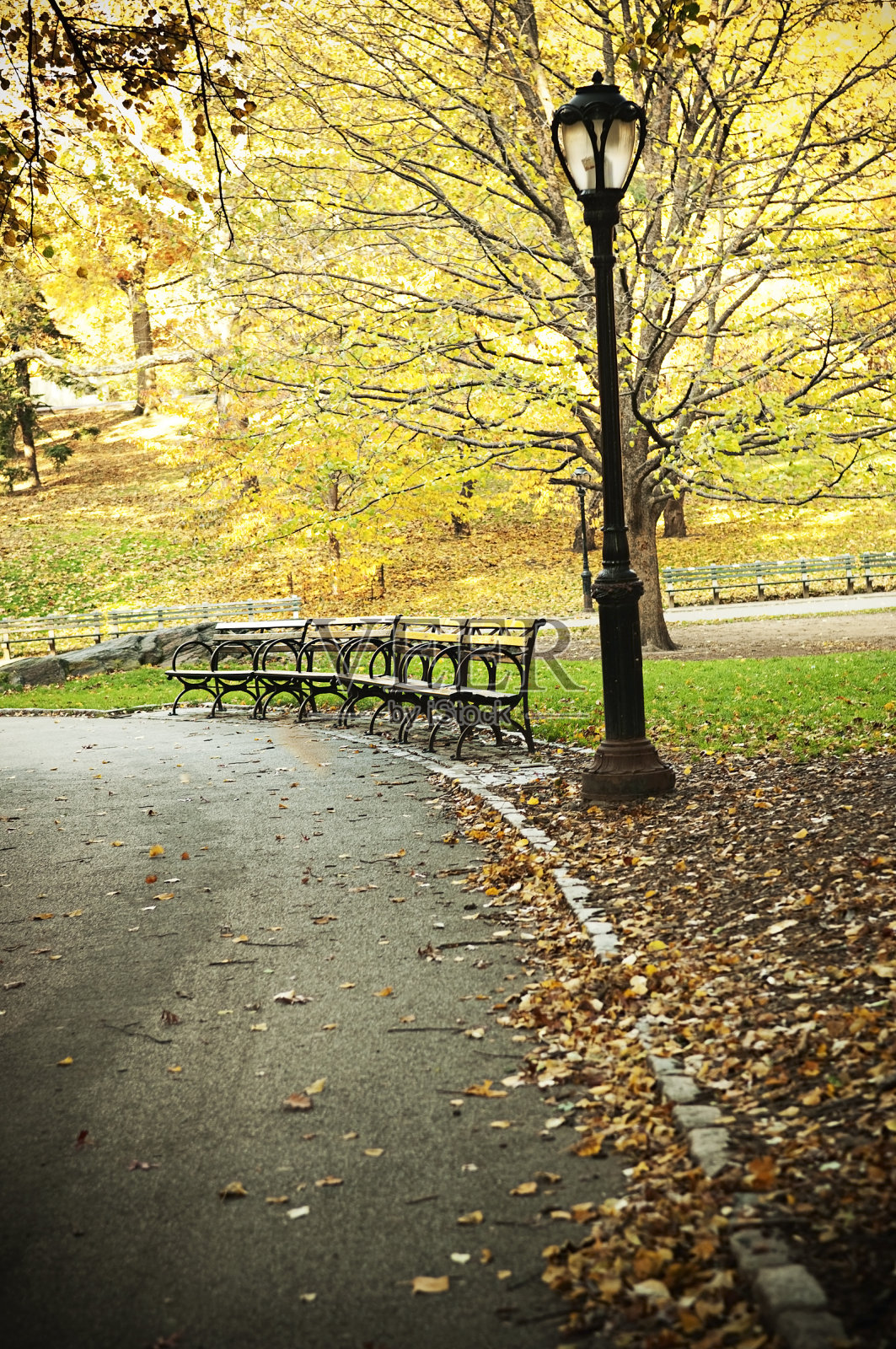 中央公园的秋天照片摄影图片