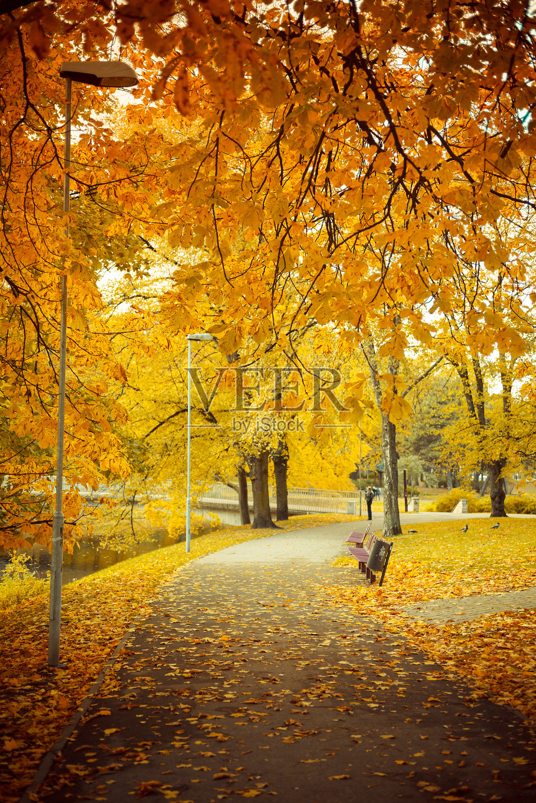 秋天在城市公园里照片摄影图片