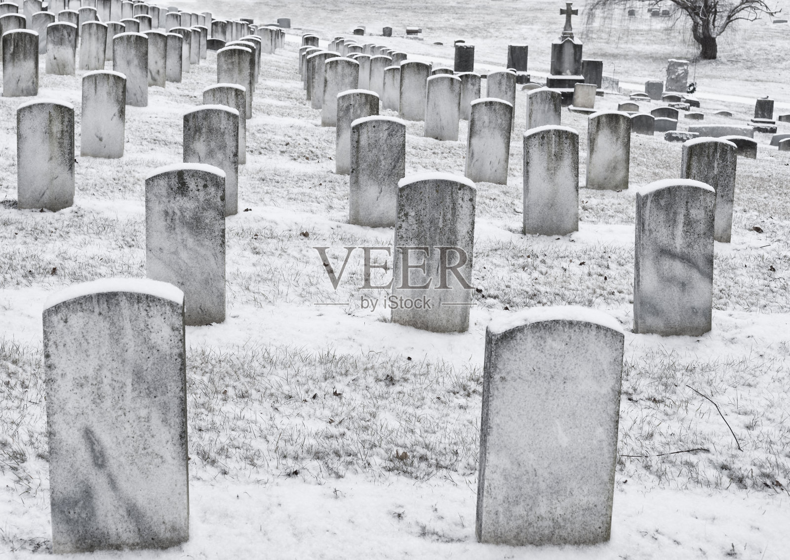 墓地里雪白的墓碑照片摄影图片