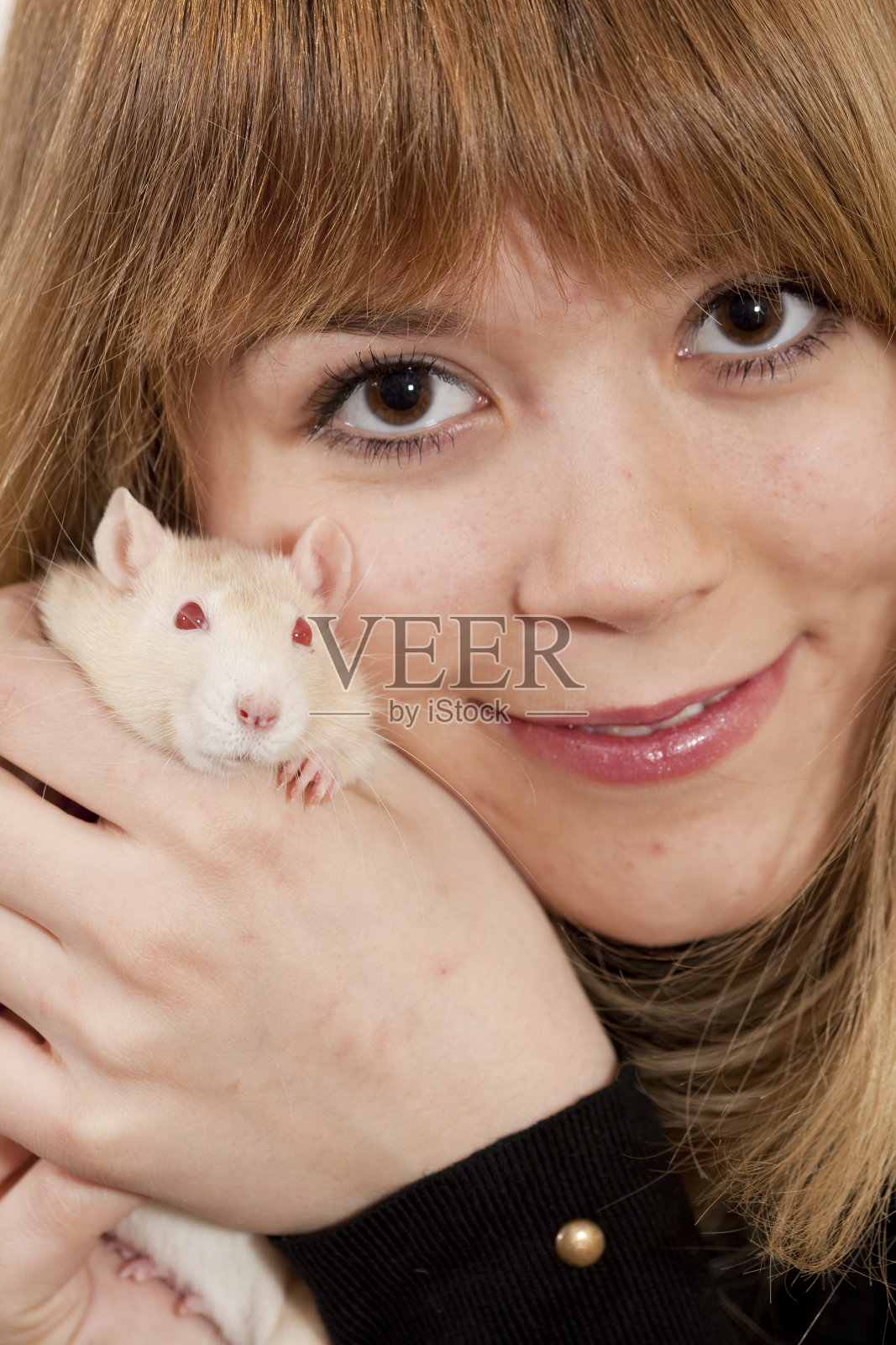 白鼠“mashustik"照片摄影图片