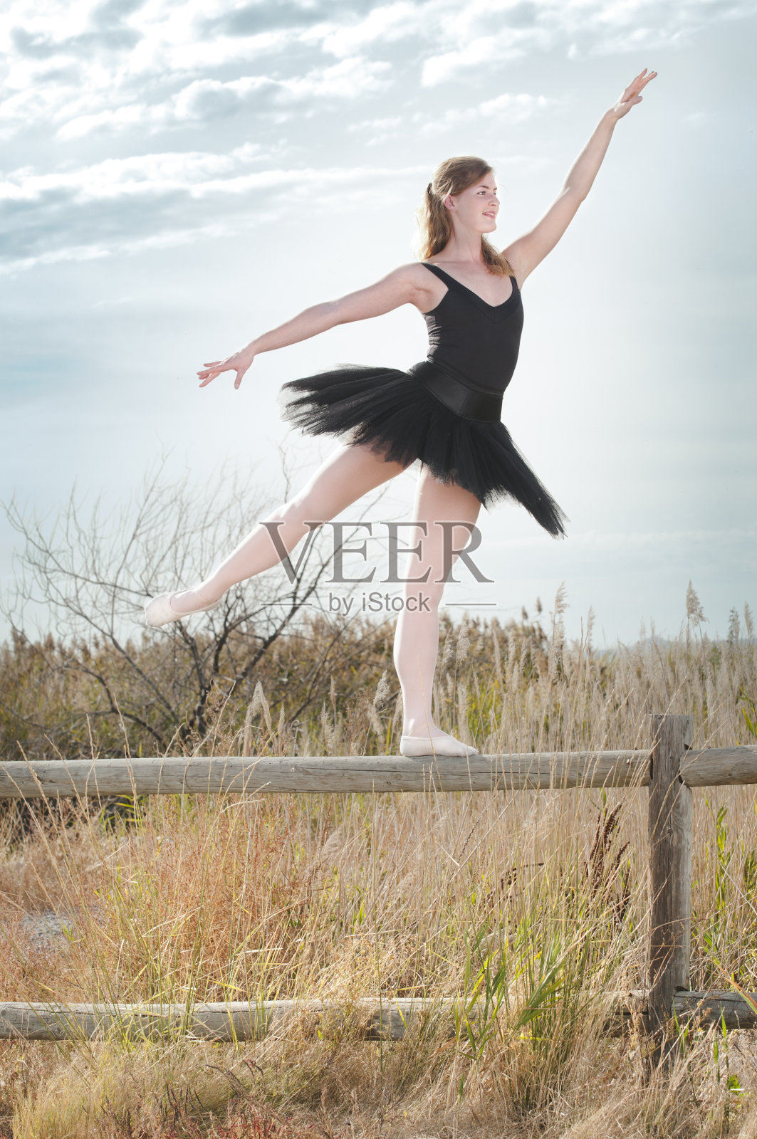 芭蕾舞演员在栅栏照片摄影图片