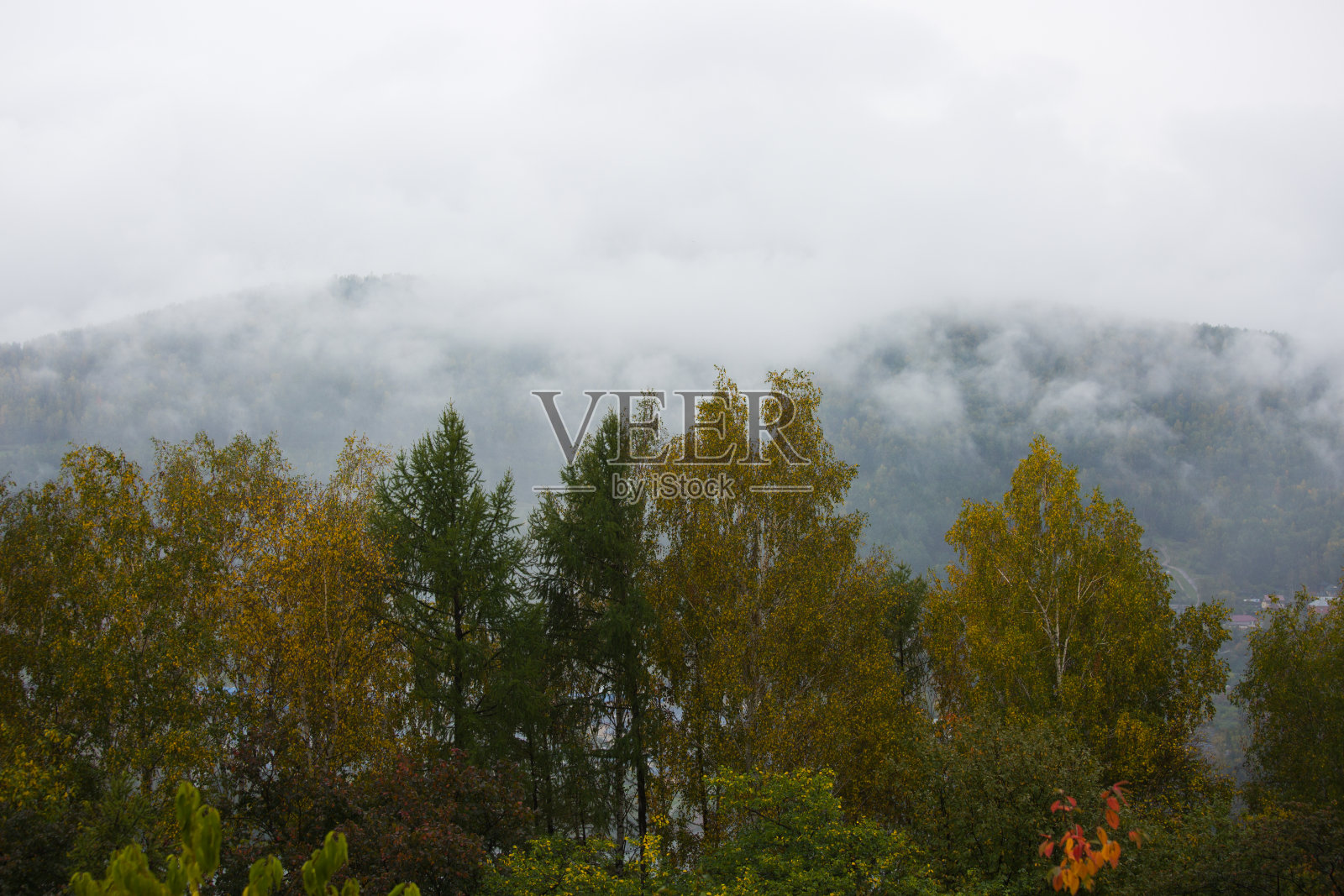 秋天的图片照片摄影图片