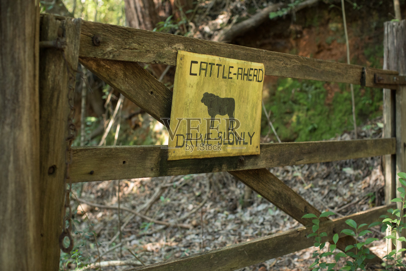 门前有牛的标志照片摄影图片