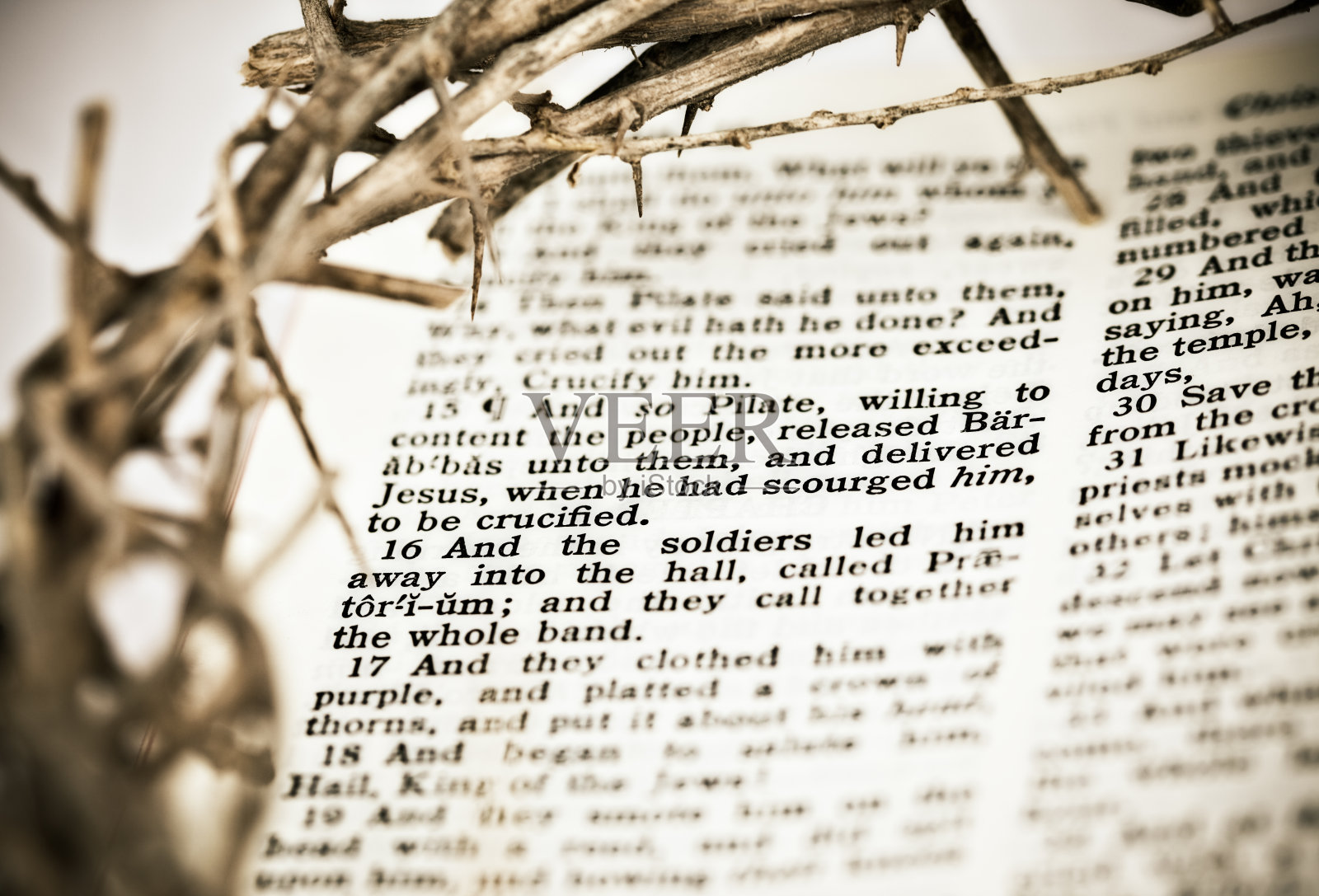 《圣经》上的荆棘王冠照片摄影图片