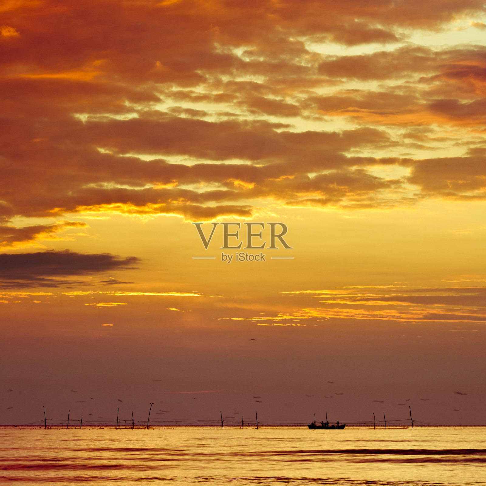 早上钓鱼照片摄影图片