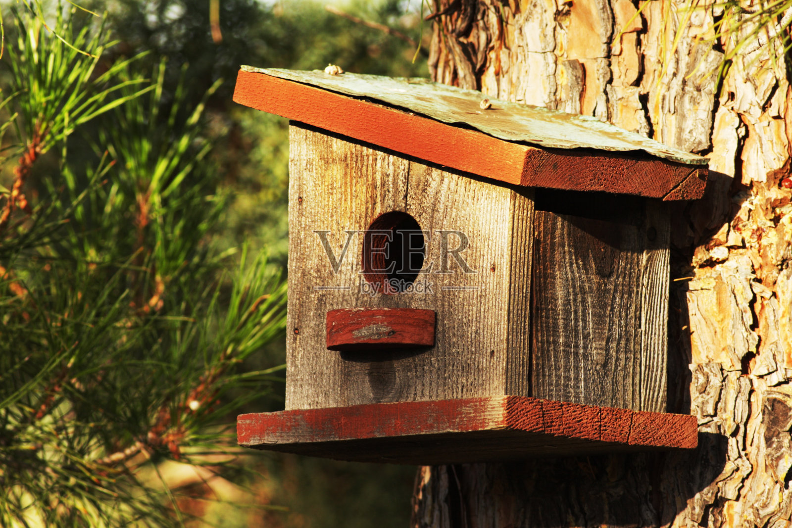 鸟巢建筑照片摄影图片