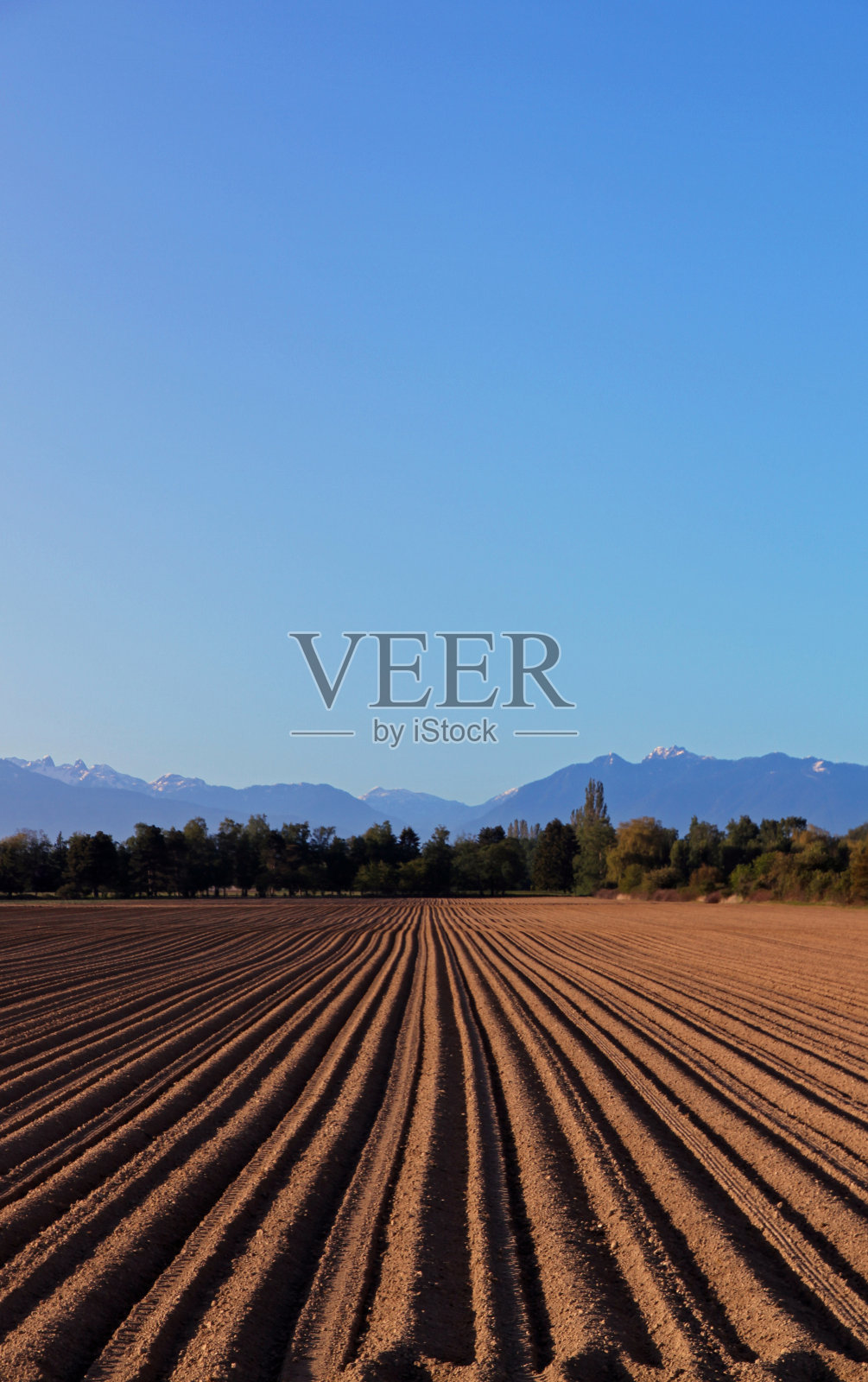 风景上的犁沟照片摄影图片