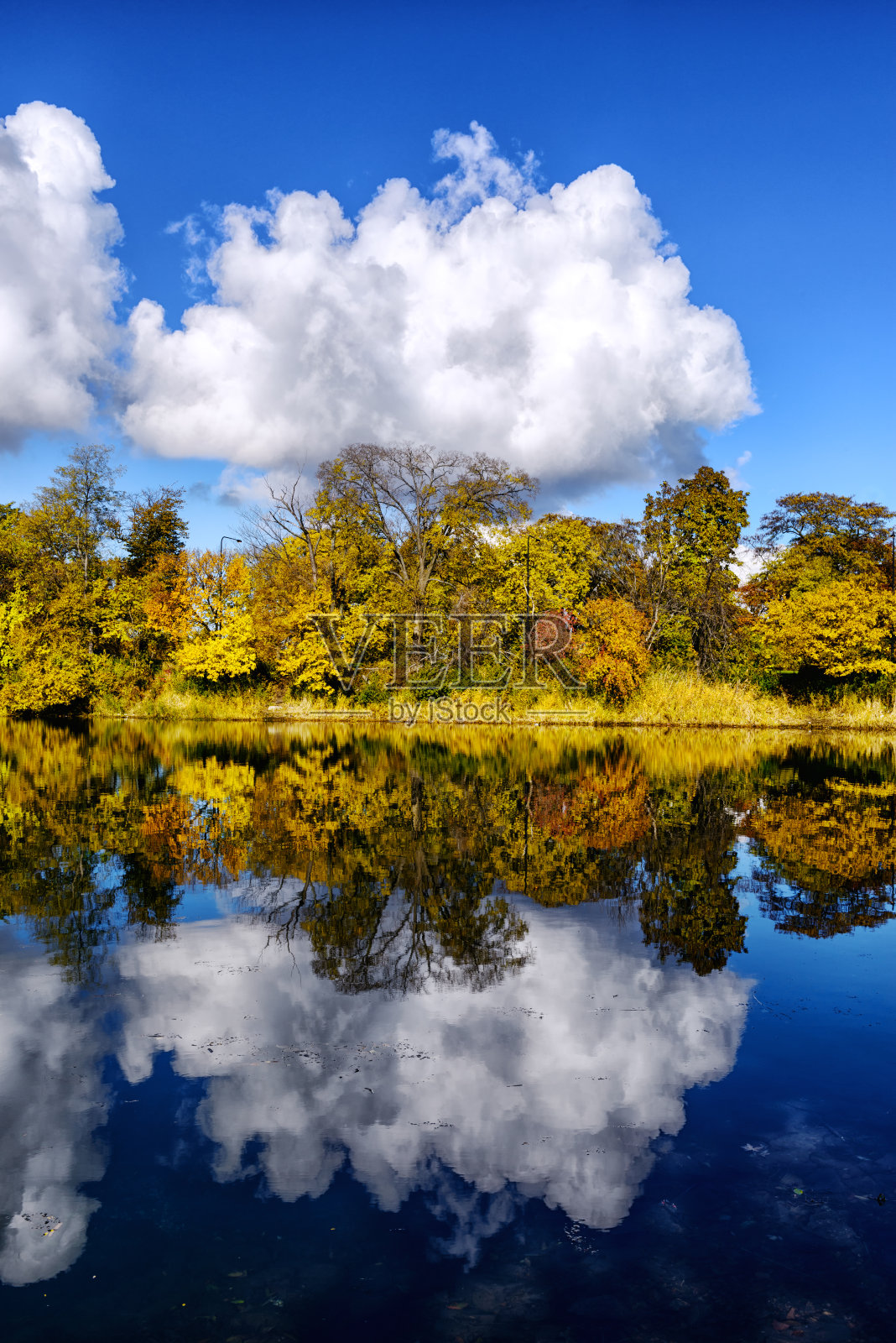 芝加哥杰克逊公园的秋天湖照片摄影图片