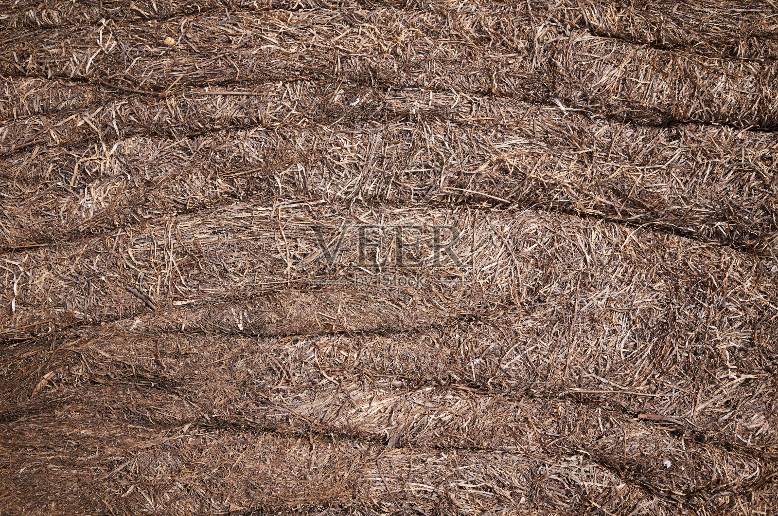 碎片草枝背景照片摄影图片