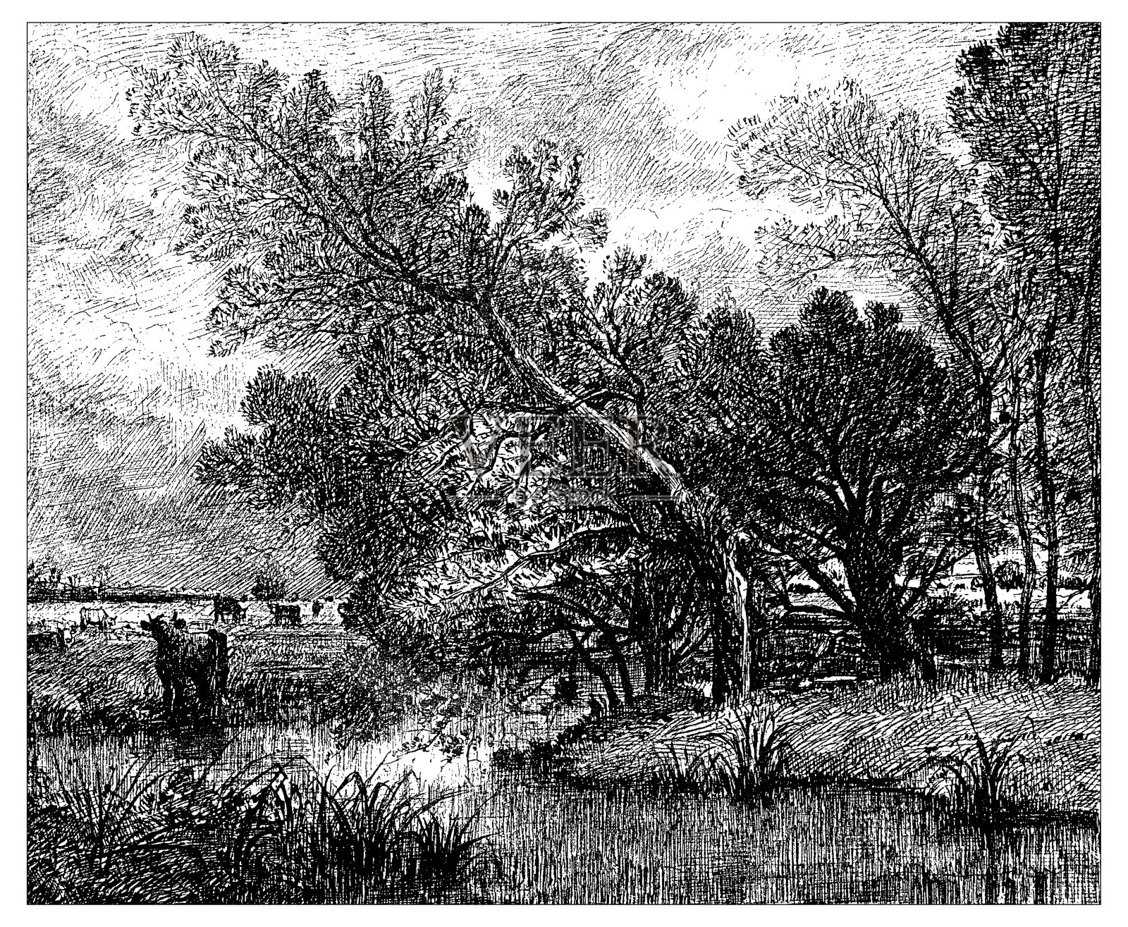 古董插图的乡村景观与柳树插画图片素材