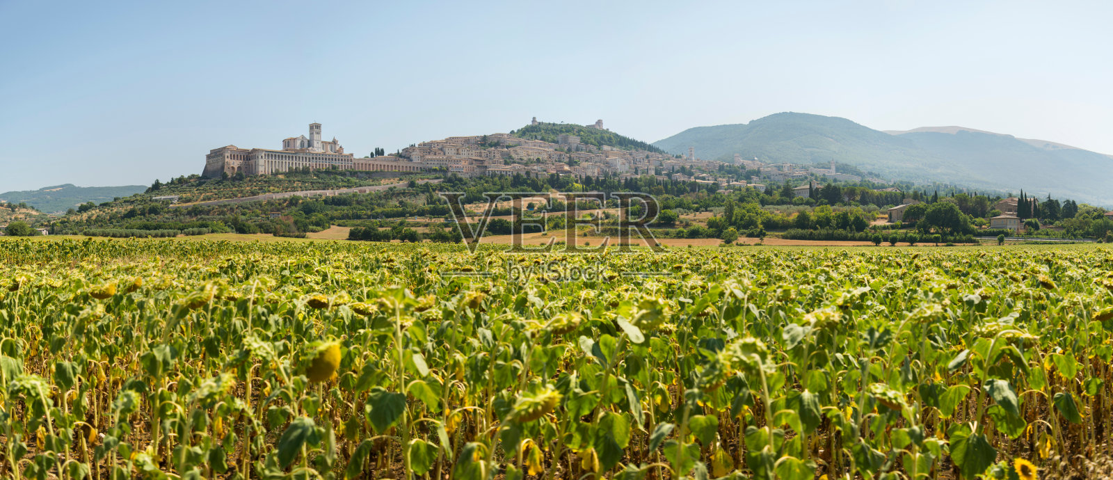 意大利阿西西。全景照片摄影图片