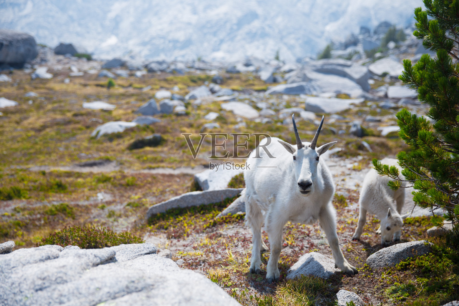 魔法,华盛顿州,美国照片摄影图片