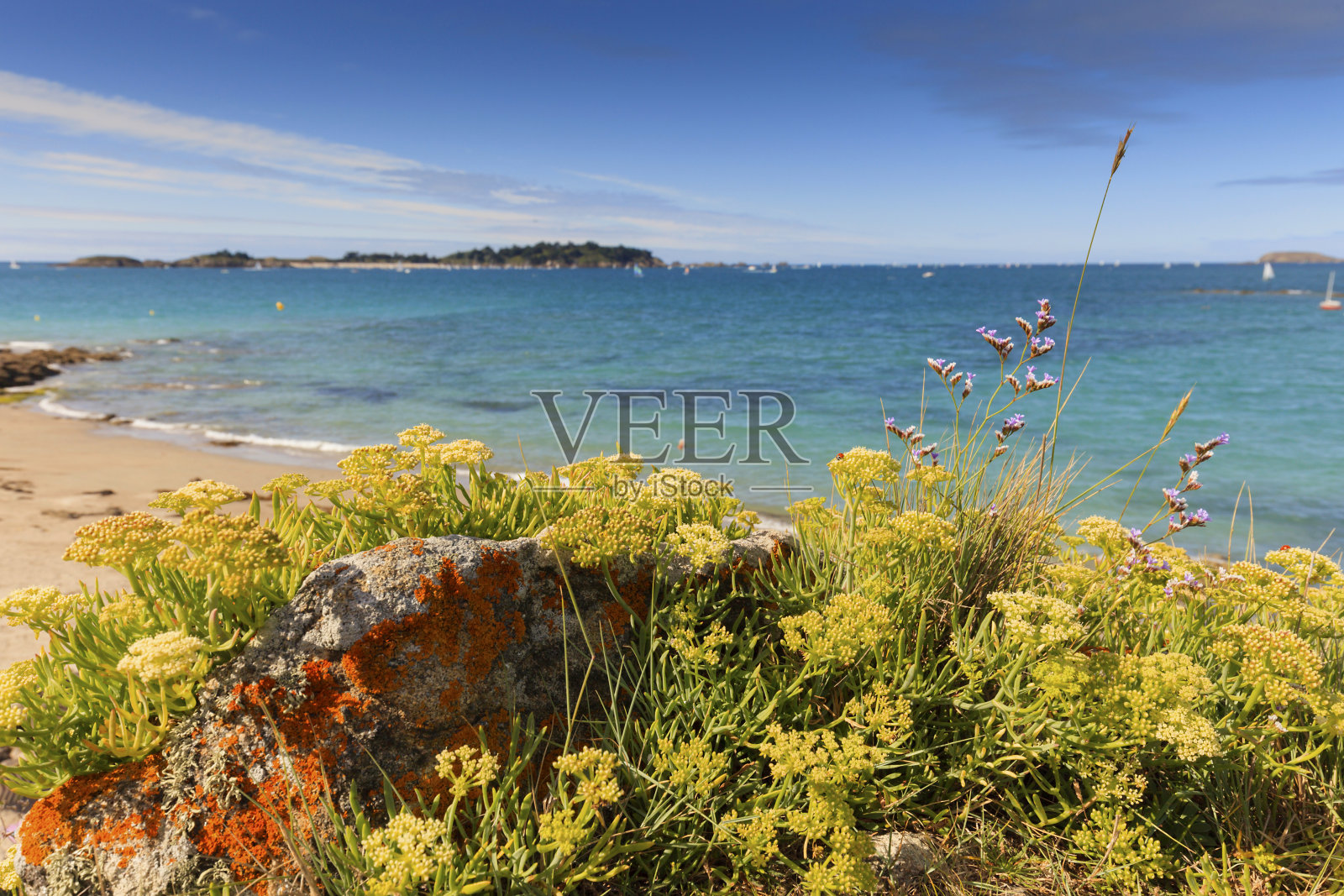 布列塔尼海岸的海岸风景照片摄影图片