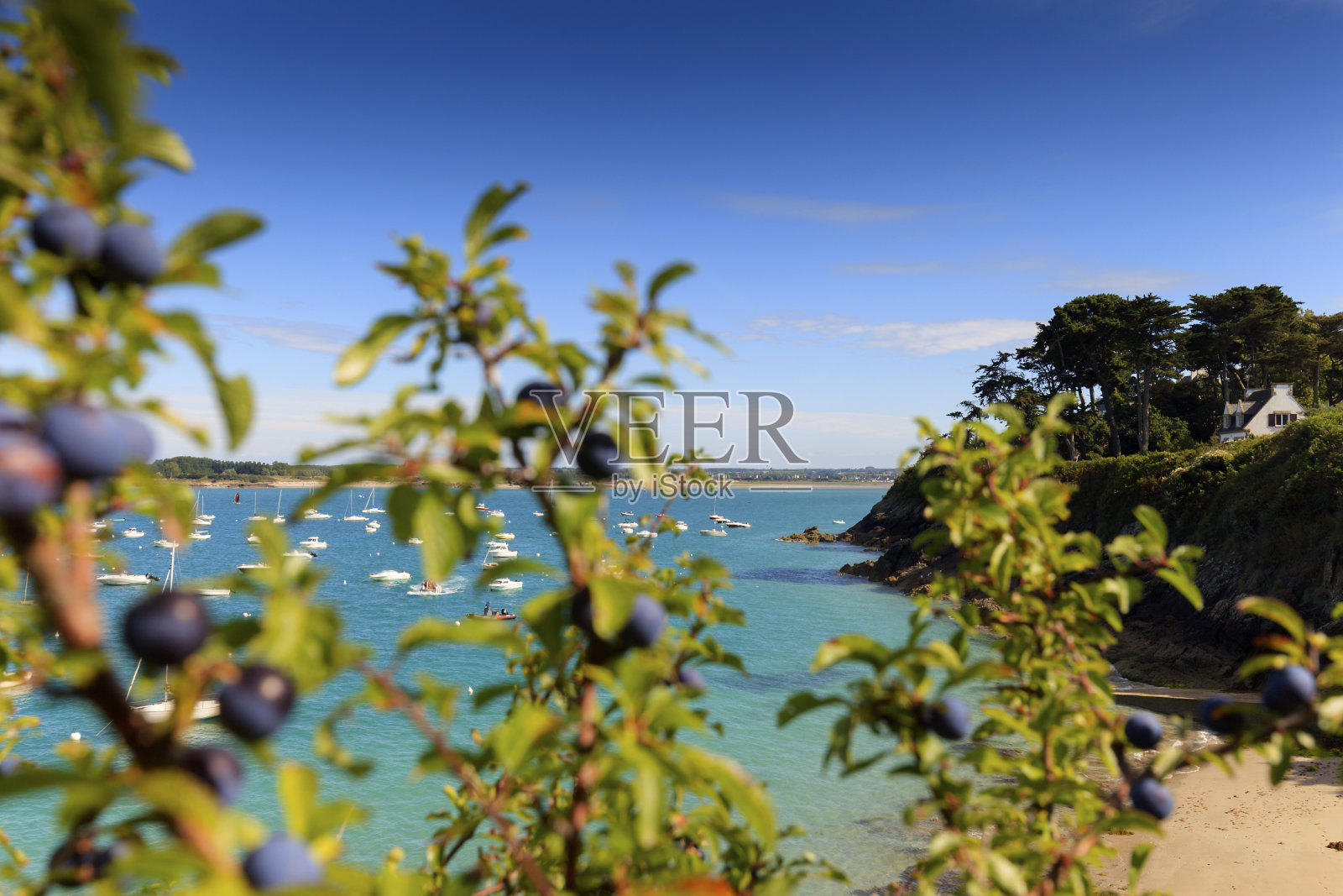 布列塔尼海岸的海岸风景照片摄影图片