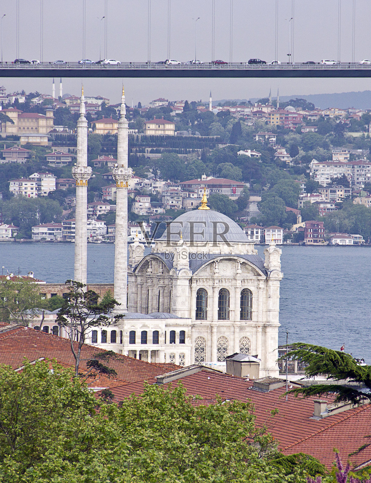 矫年期照片摄影图片