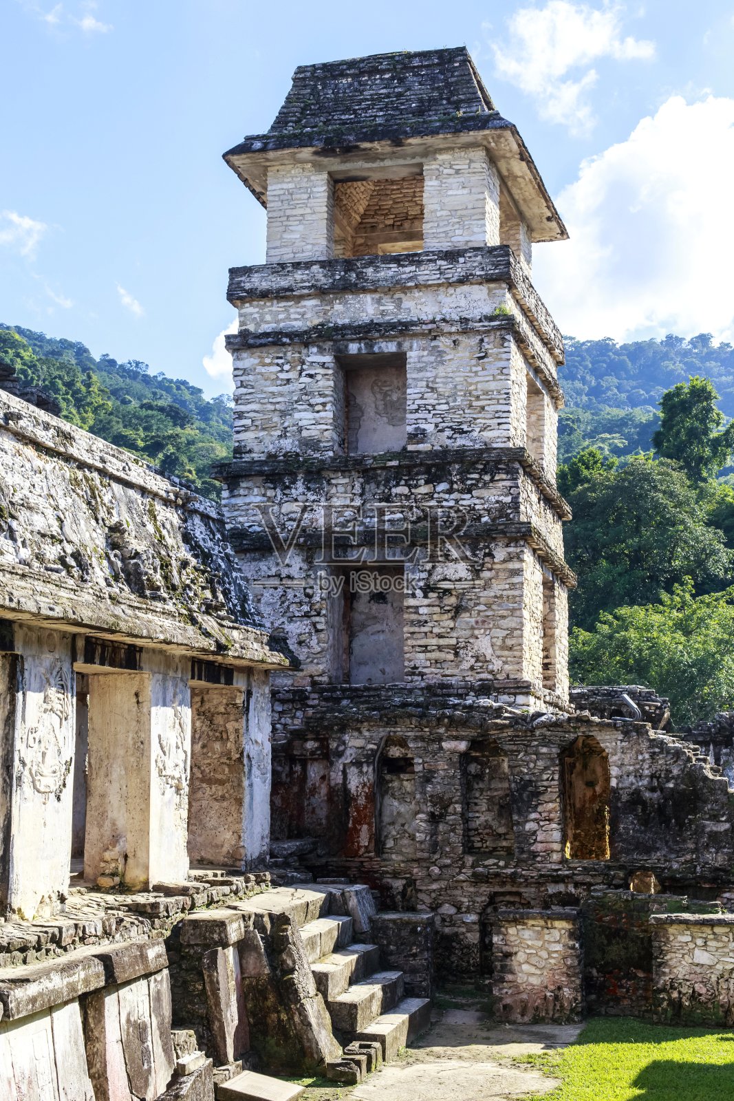 帕伦克照片摄影图片