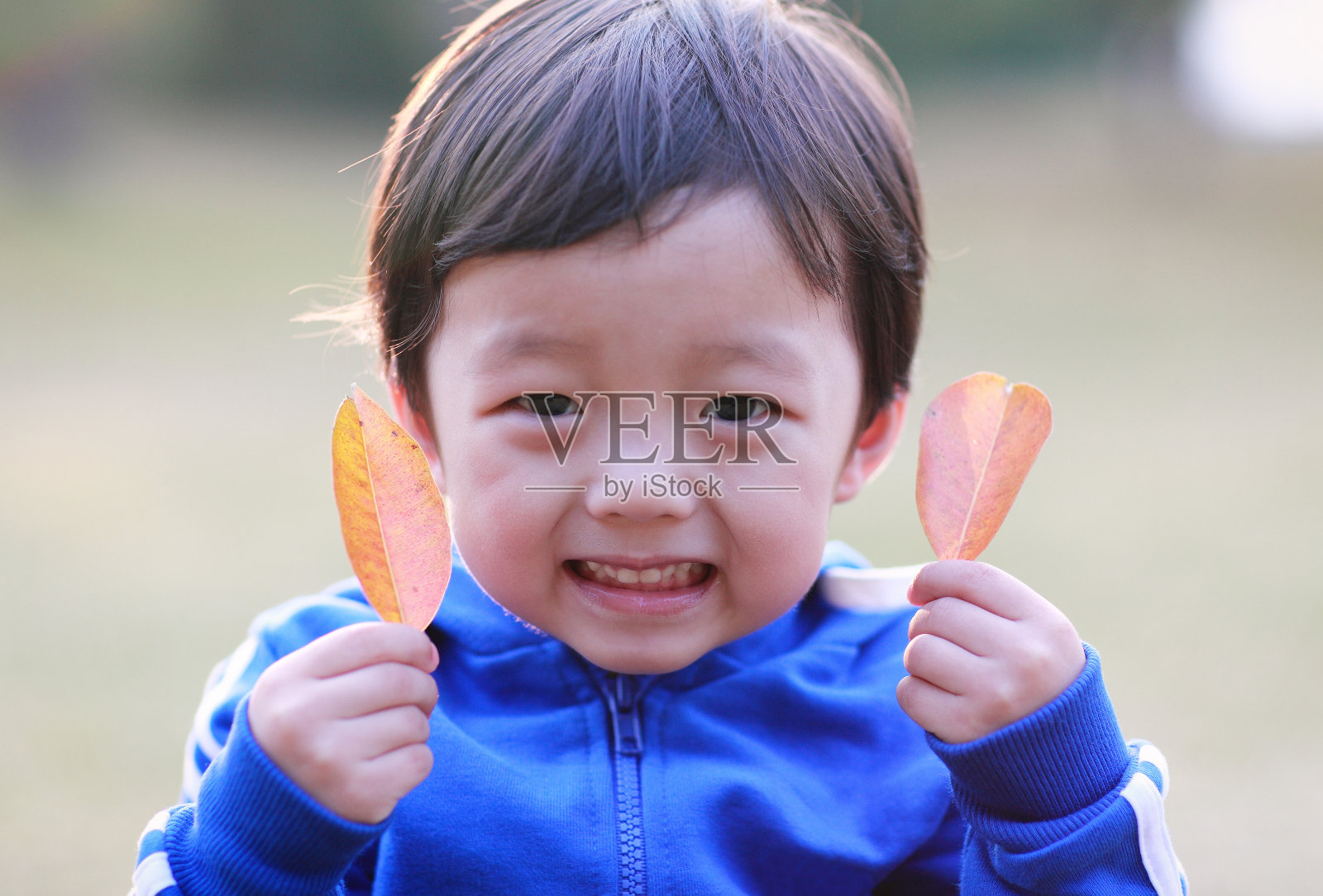 可爱的孩子们在公园里玩耍照片摄影图片