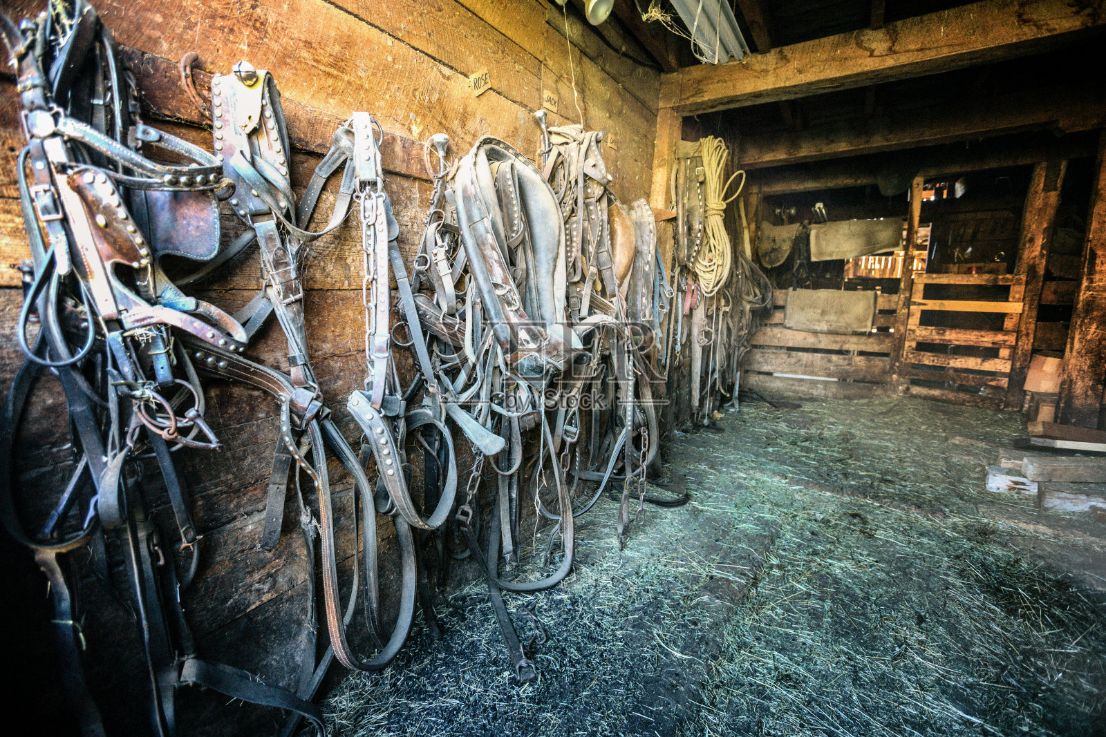 骑马谢谢照片摄影图片