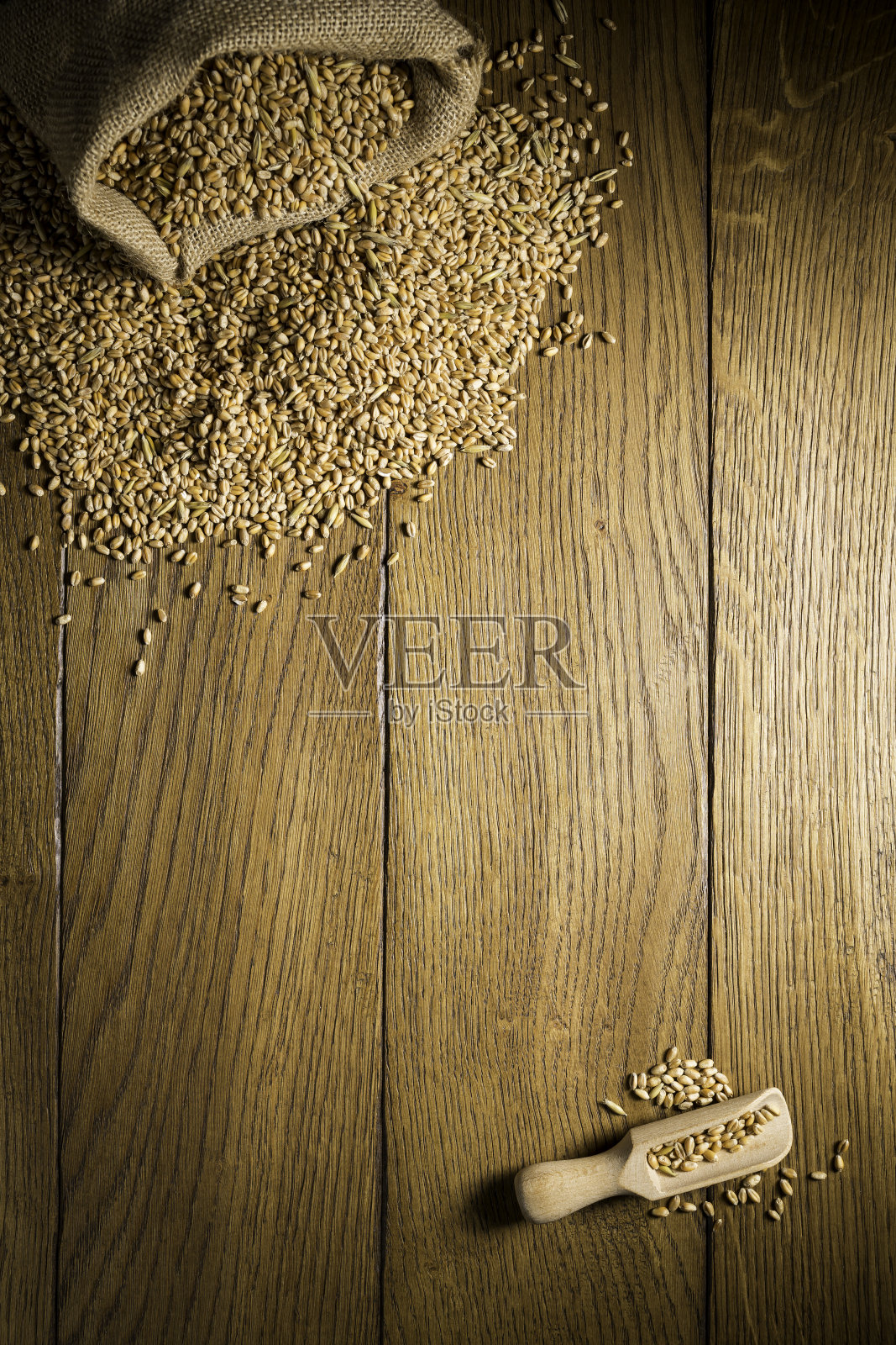 小麦照片摄影图片