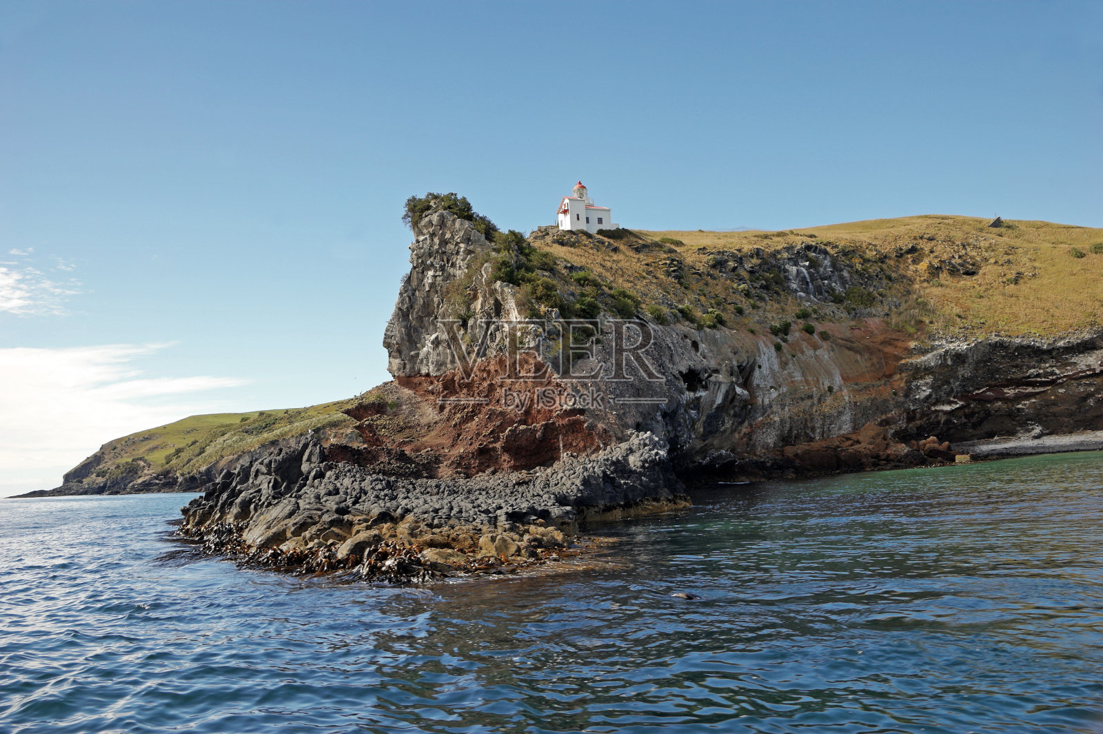 达尼丁新西兰悬崖照片摄影图片