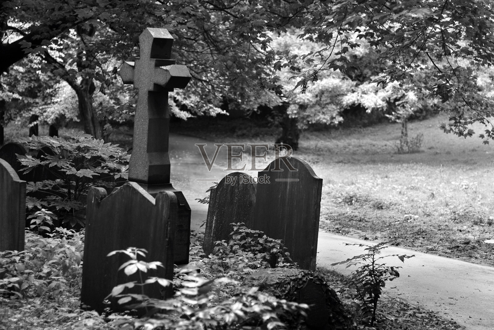 墓地墓碑照片摄影图片