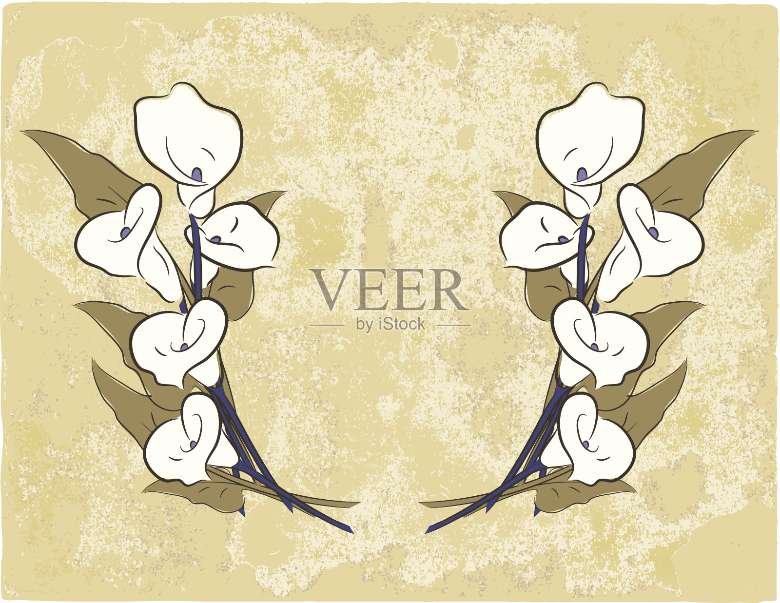 Calla Lillies在Grunge上插画图片素材