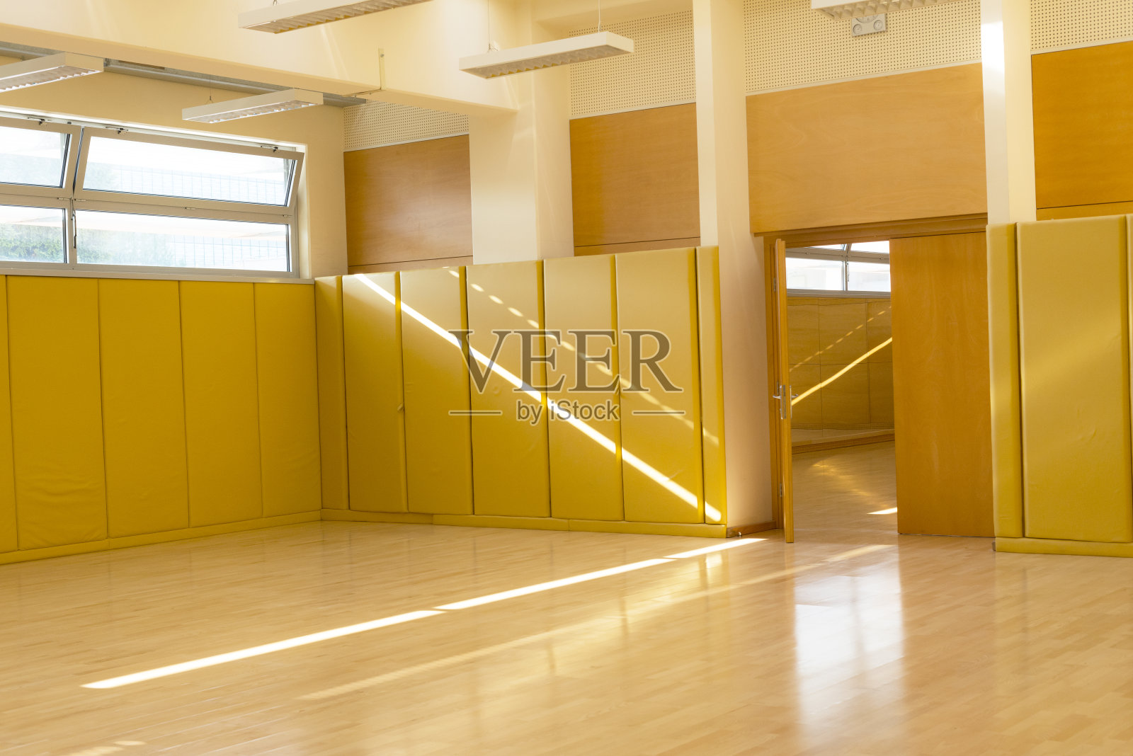 一个用于战斗和其他运动的空体育馆照片摄影图片