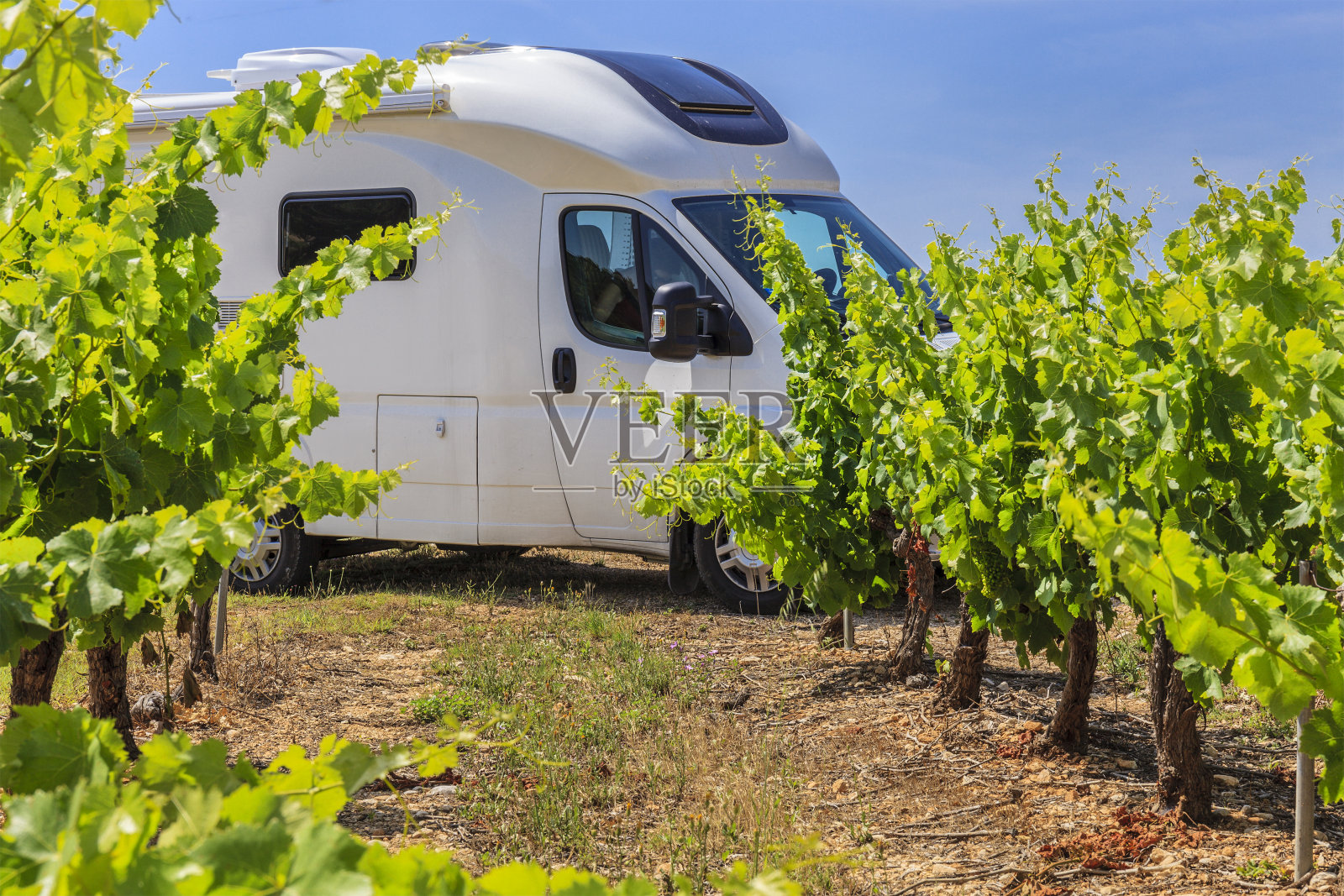 葡萄园、法国照片摄影图片