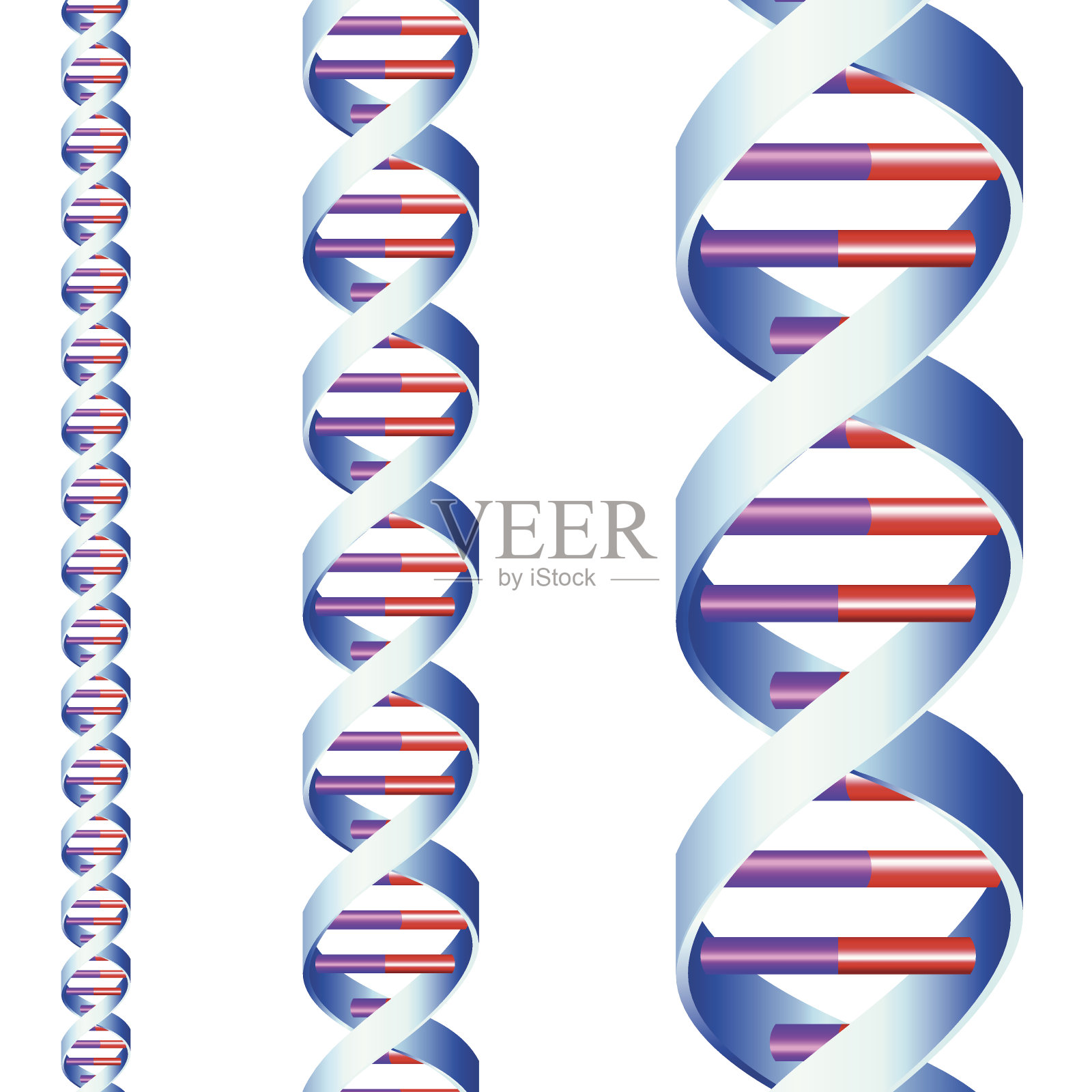 斯特兰德DNA插画图片素材