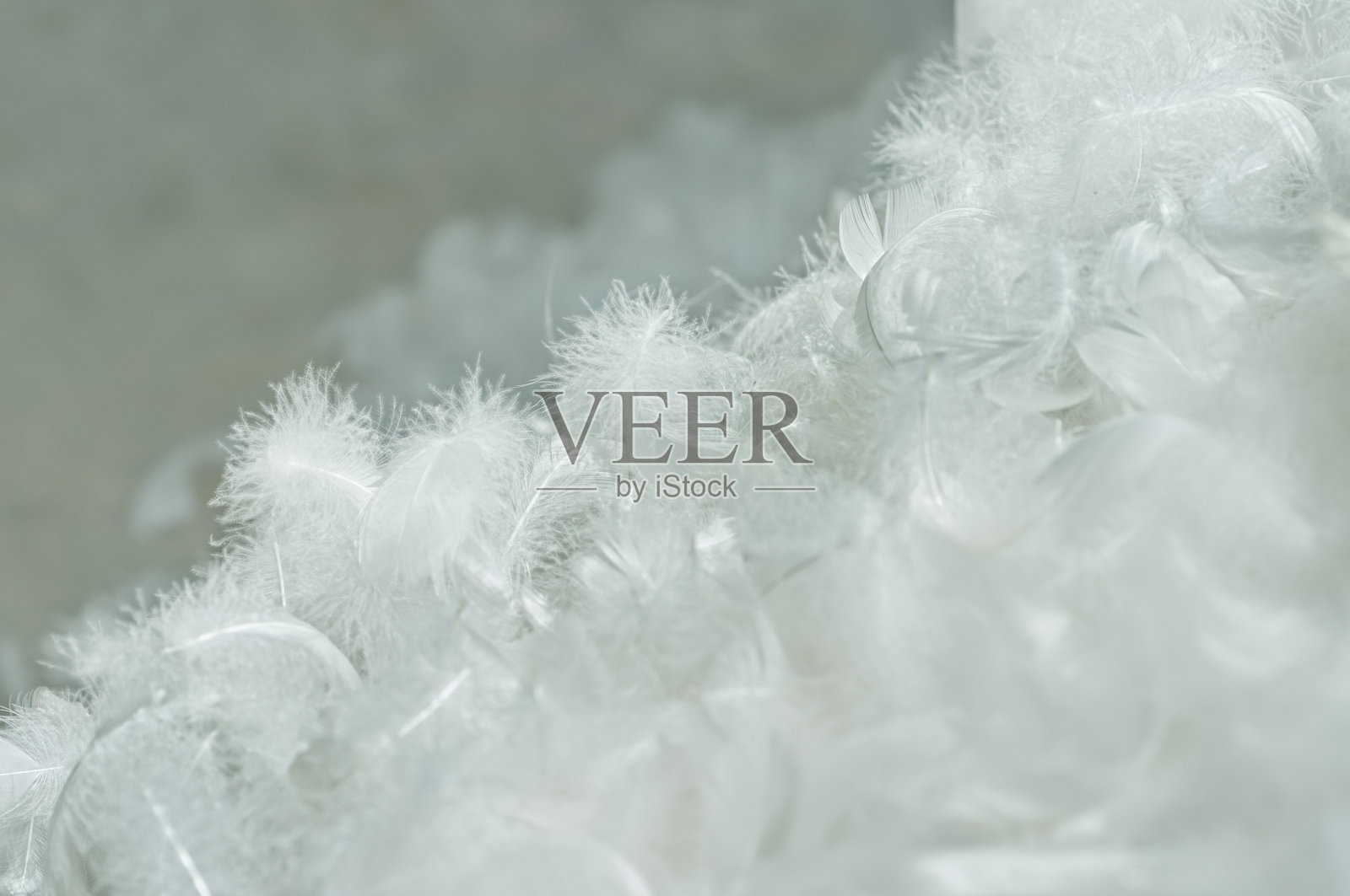 一堆鹅毛做羽绒被照片摄影图片