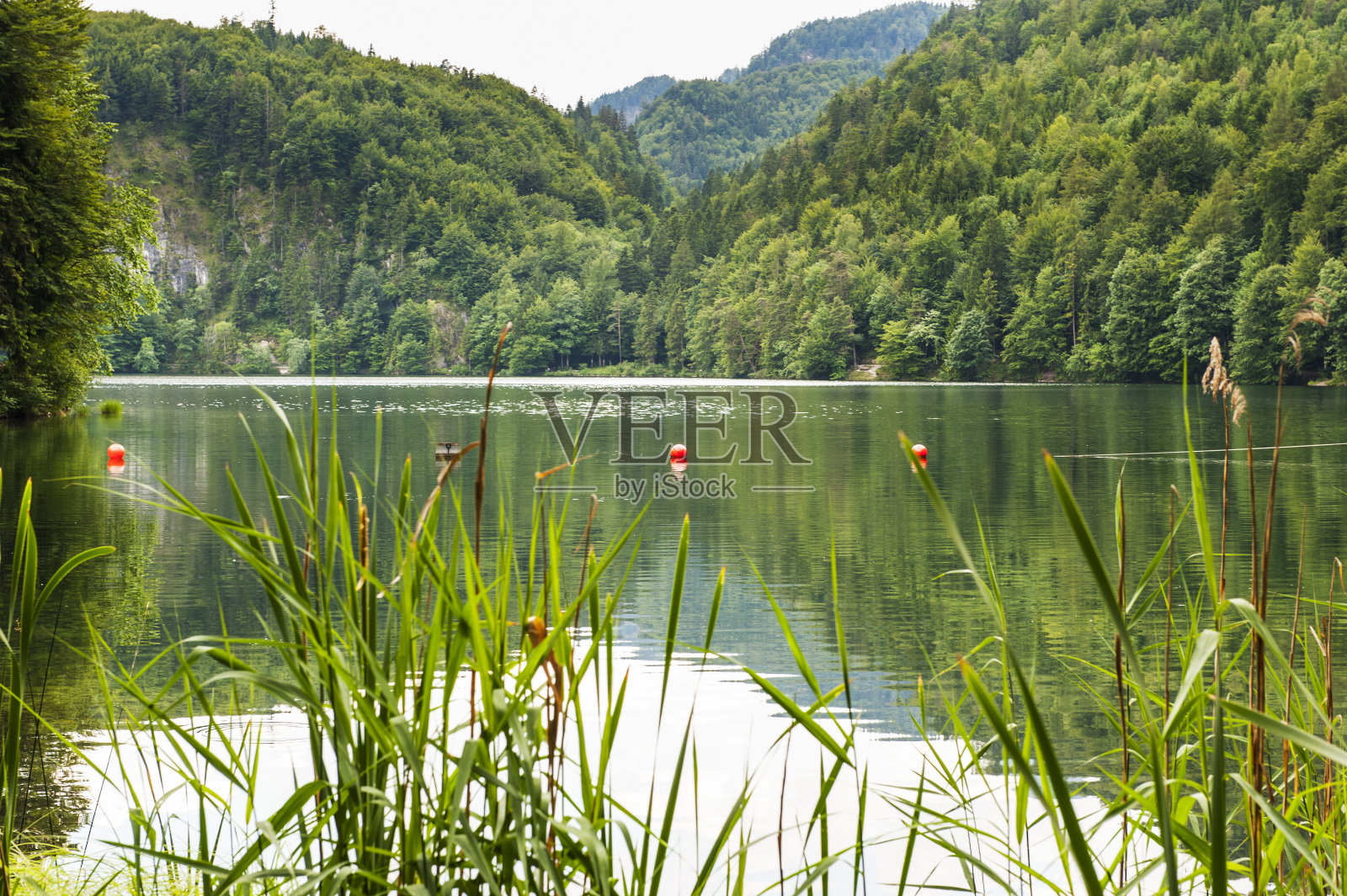 奥地利赫奇湖照片摄影图片
