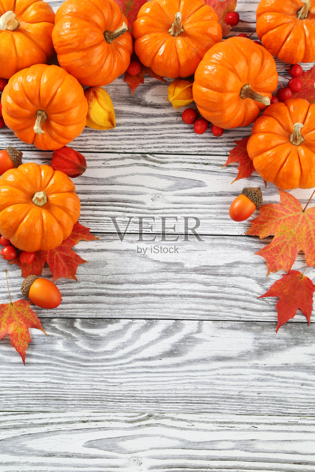 南瓜的背景照片摄影图片