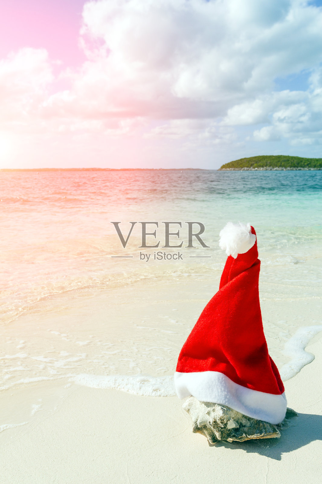 海滩上戴着圣诞帽的海螺壳照片摄影图片