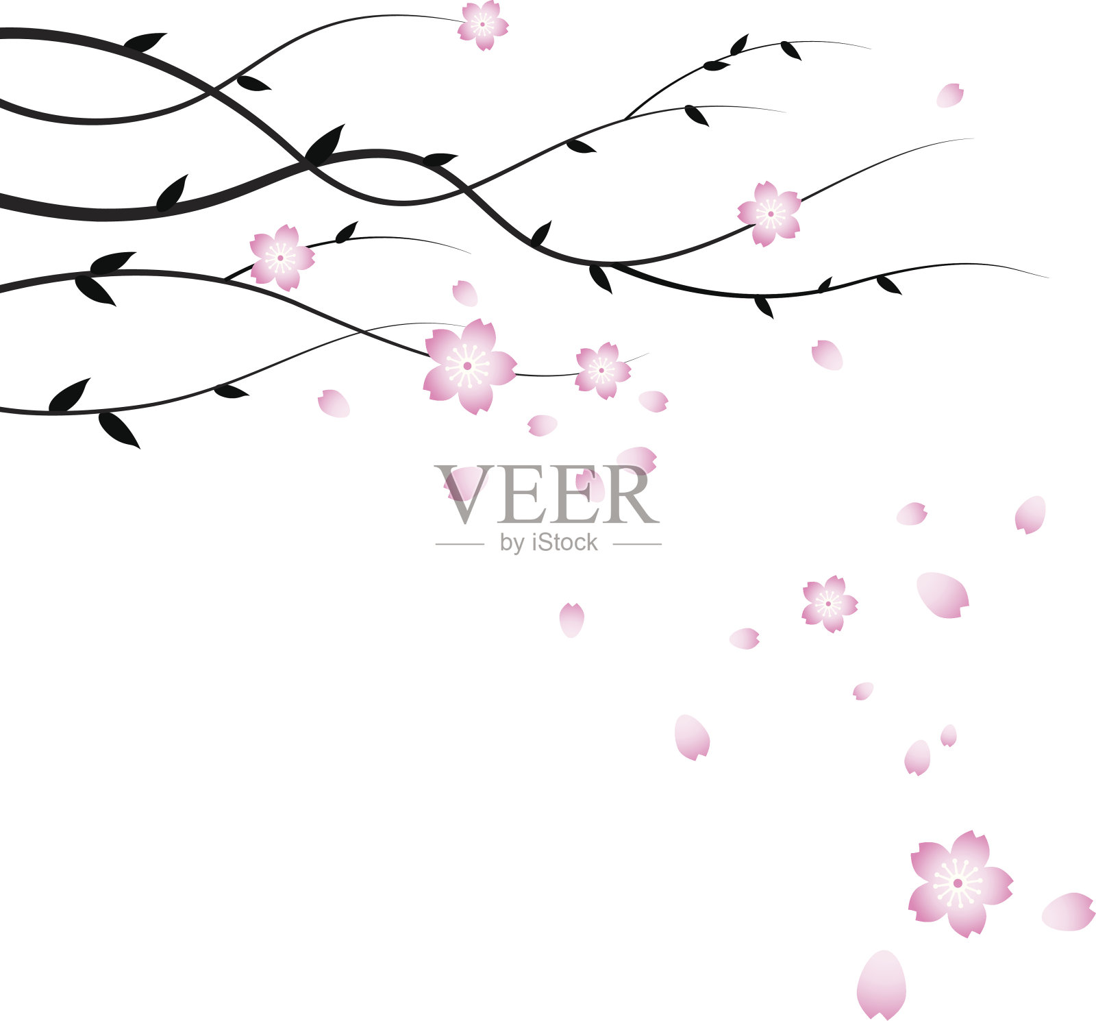 樱花插画图片素材