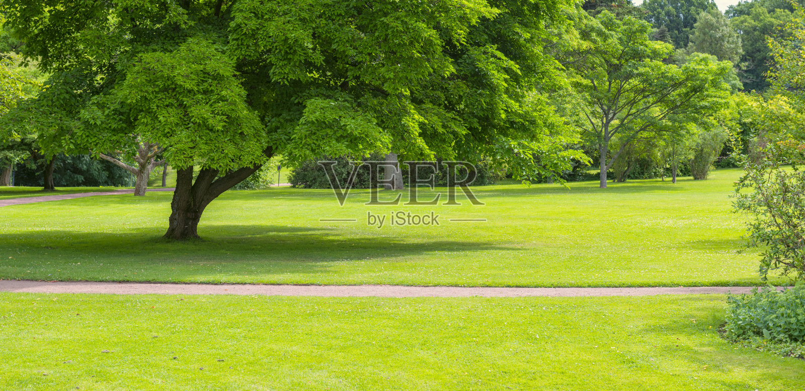 格林公园全景照片摄影图片