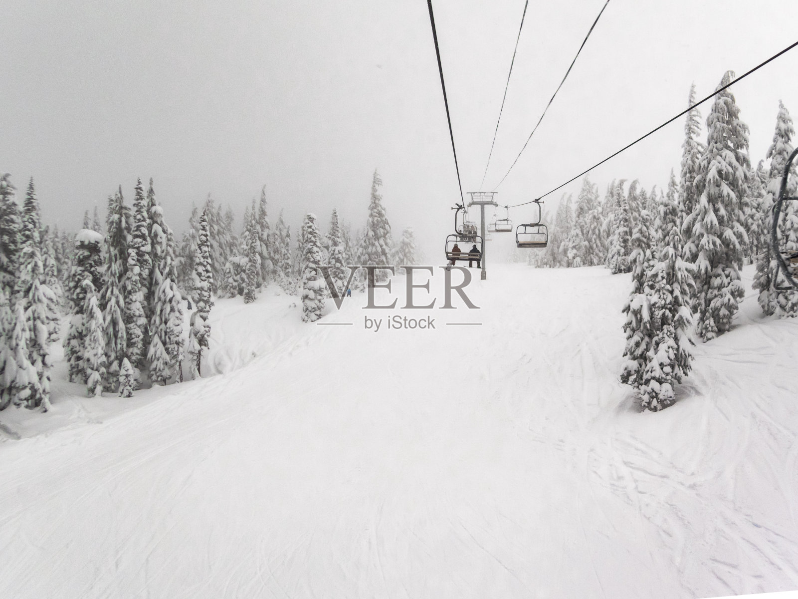 椅子升降机单色树木线滑雪度假村胡德山俄勒冈照片摄影图片