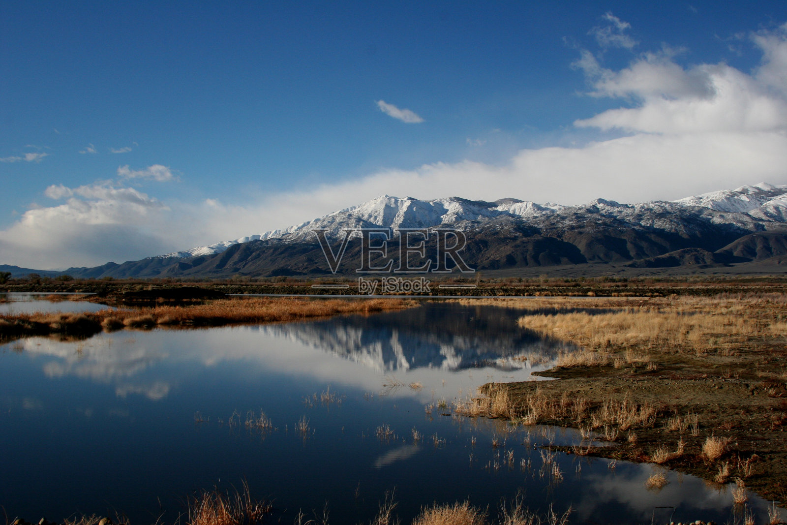 僻静的池塘照片摄影图片