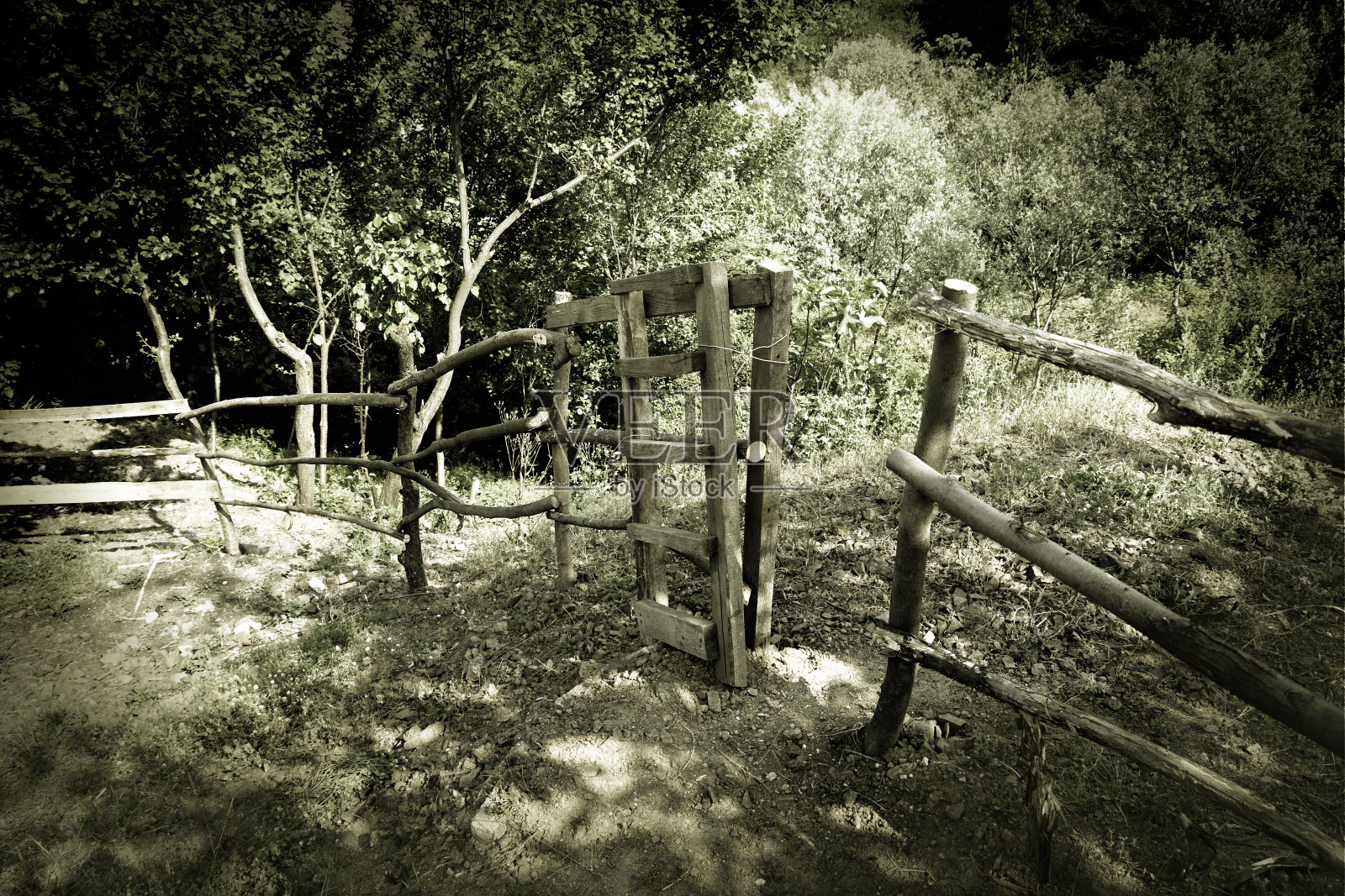 农村的场景照片摄影图片