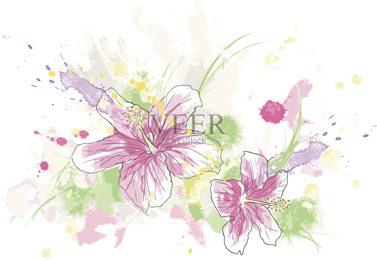 木槿水彩画插画图片素材