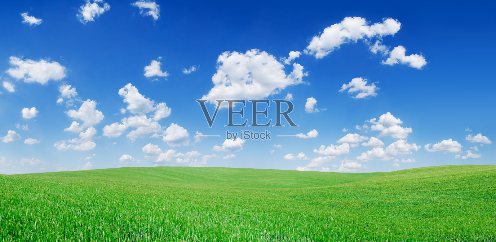 绿色的田野和蓝天上的白云照片摄影图片