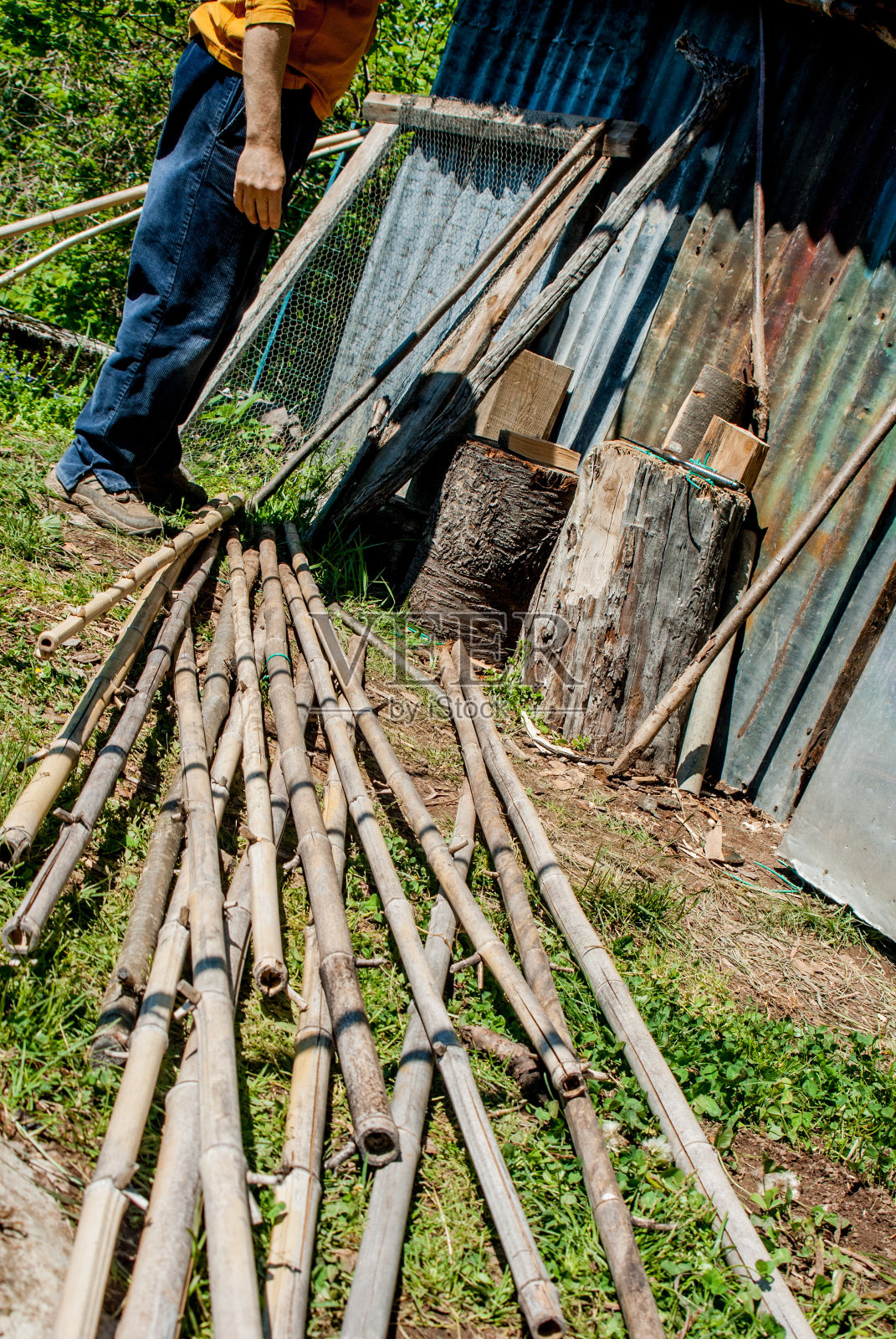 在花园里插入木桩照片摄影图片