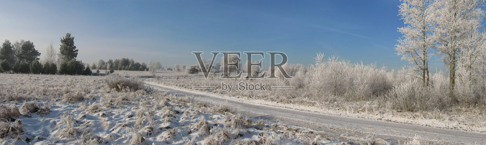 冬天的乡间小路照片摄影图片