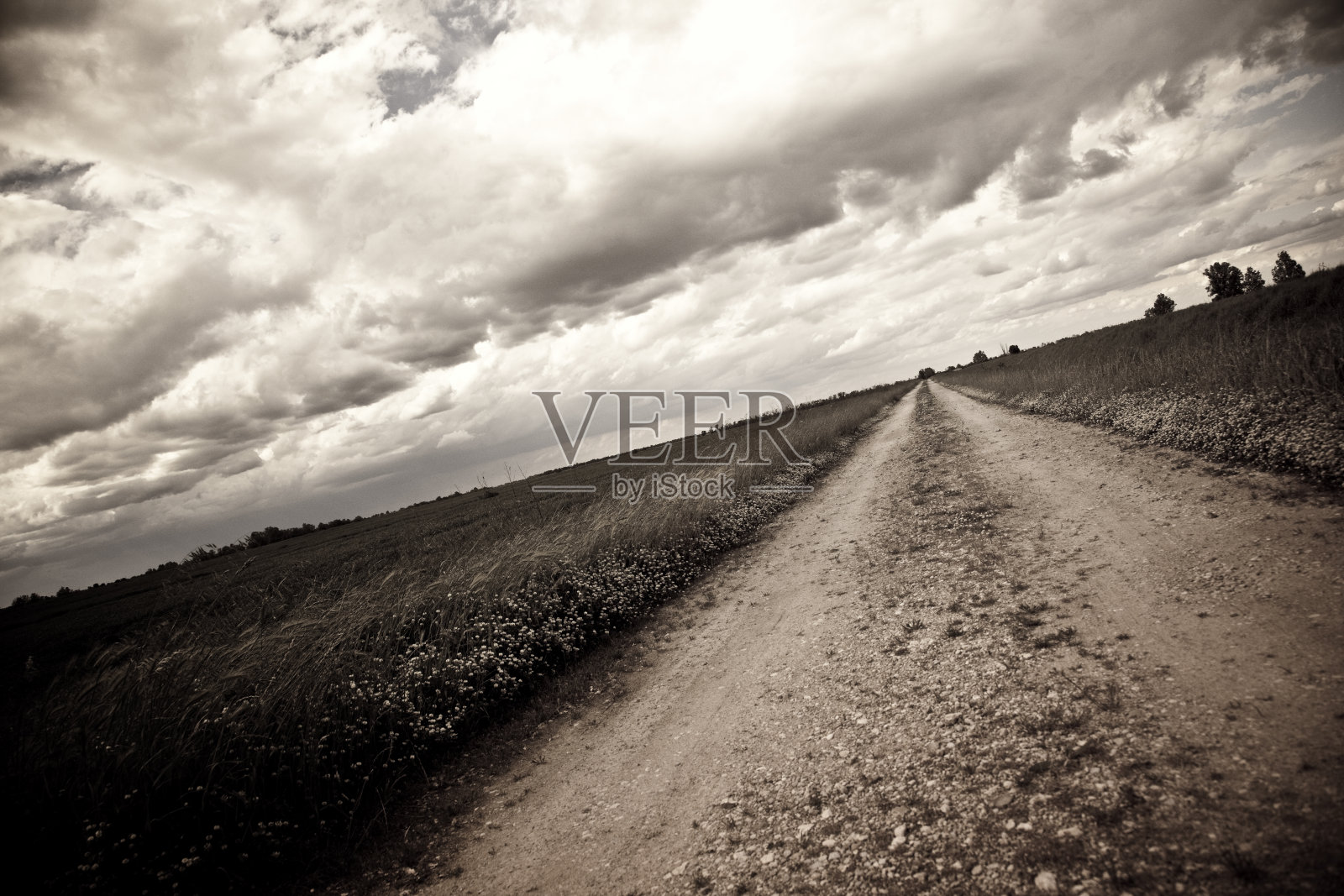 意大利的乡村公路,天空壮观照片摄影图片