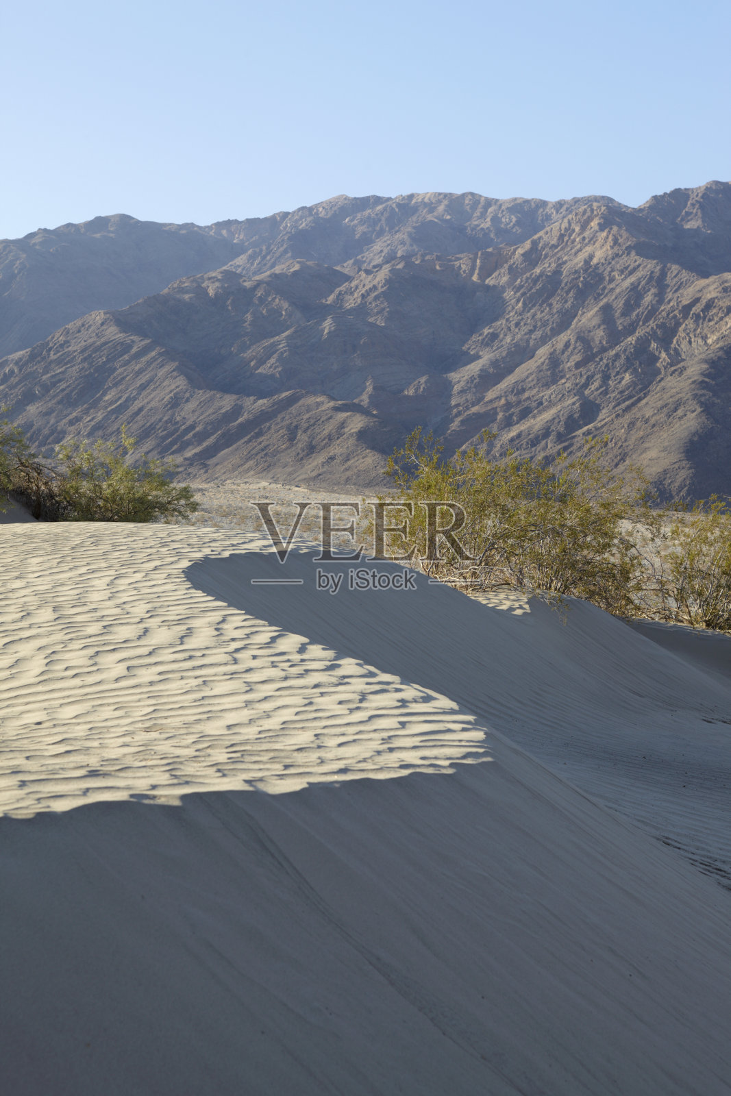 死亡谷国家公园:牧豆树沙丘照片摄影图片