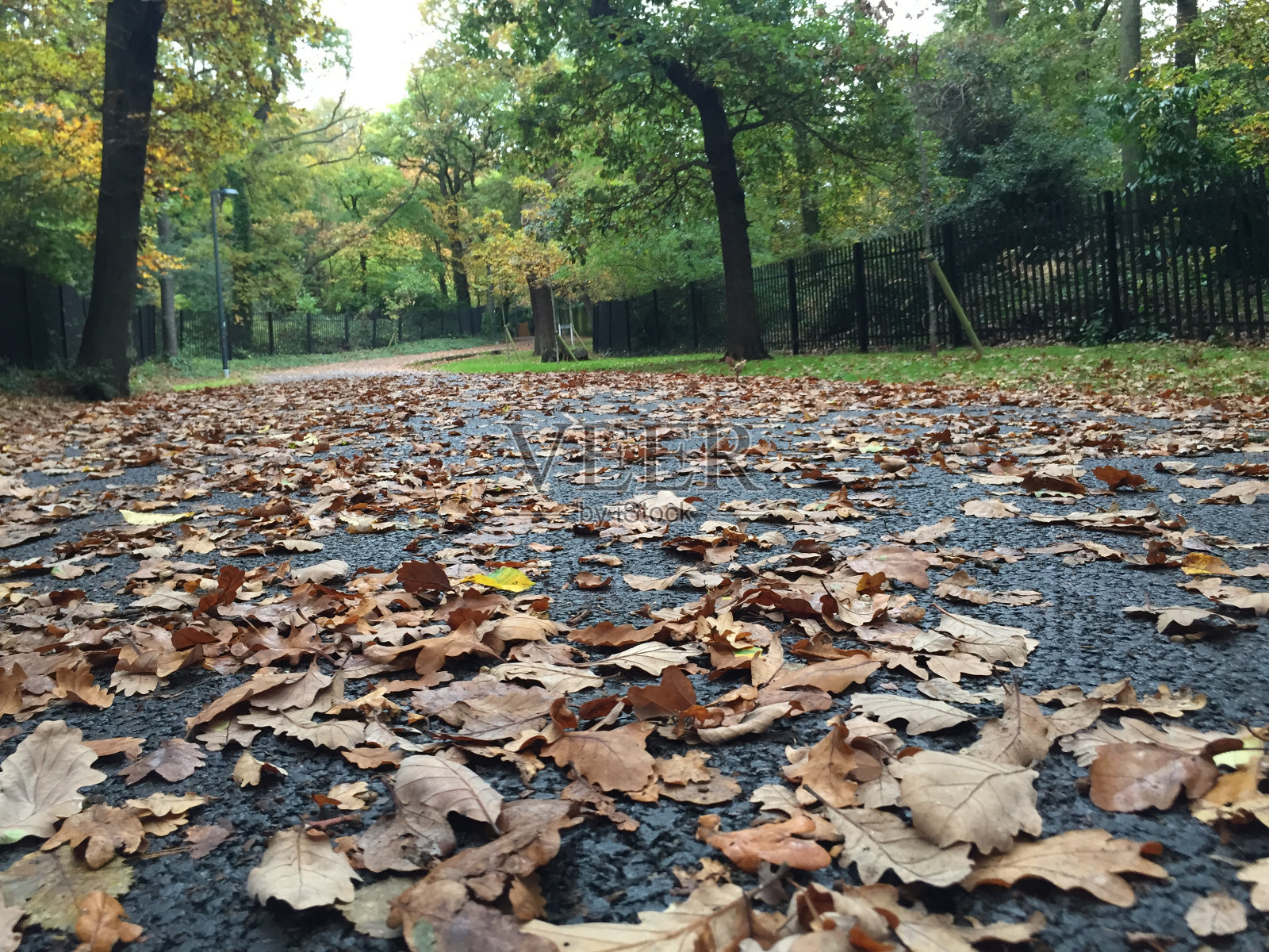 秋天郊区道路照片摄影图片