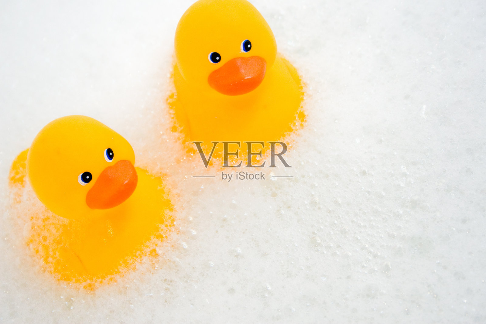 小鸭子照片摄影图片