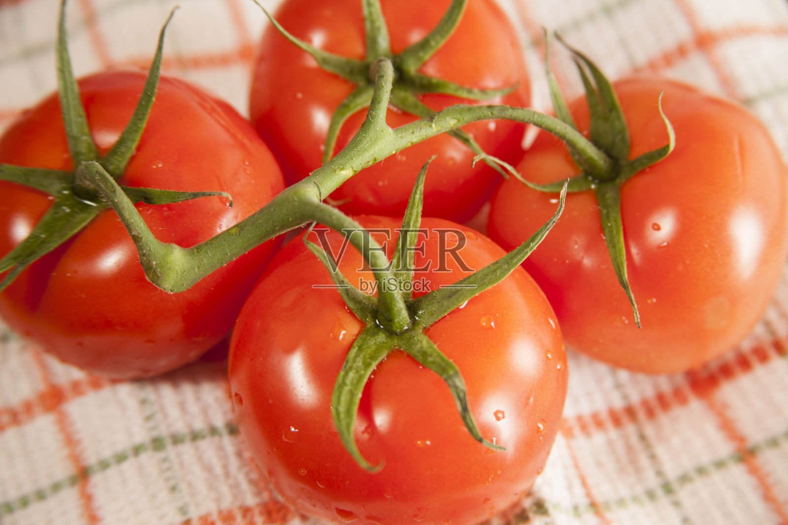 新鲜有机西红柿。蔬菜来自农场,菜园。照片摄影图片