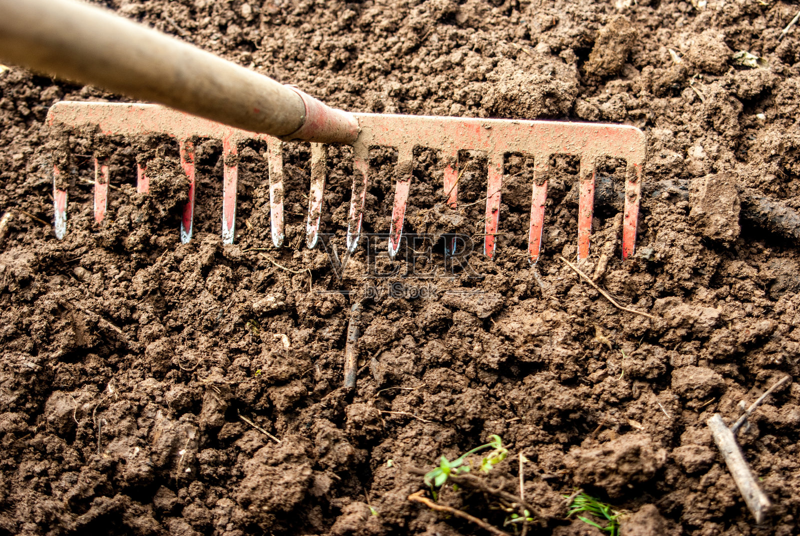 在菜园里用耙子准备凸起的花园床照片摄影图片