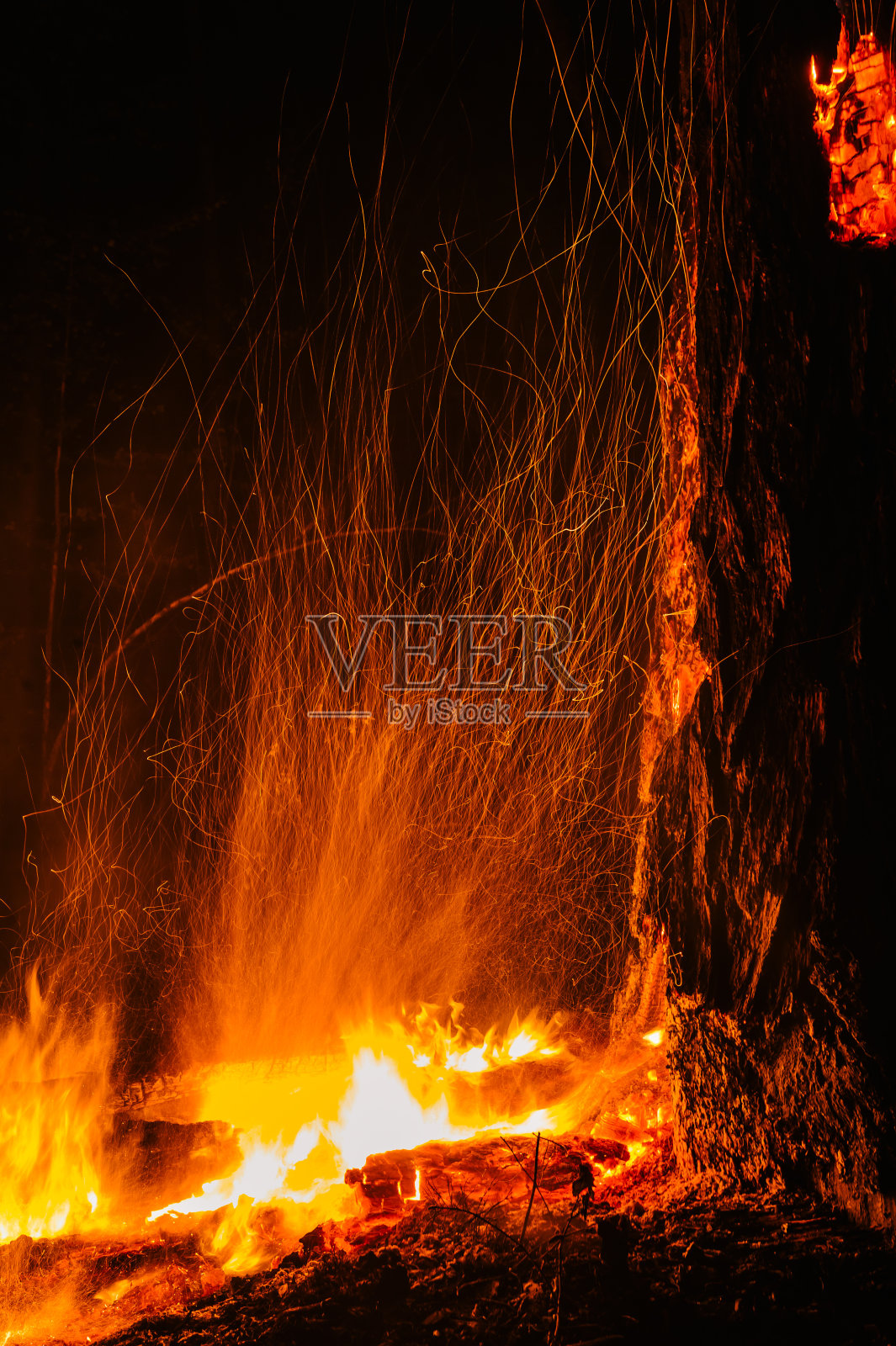 凶残的美丽的野火照片摄影图片