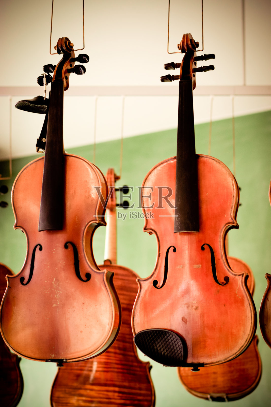 古典弦乐器照片摄影图片